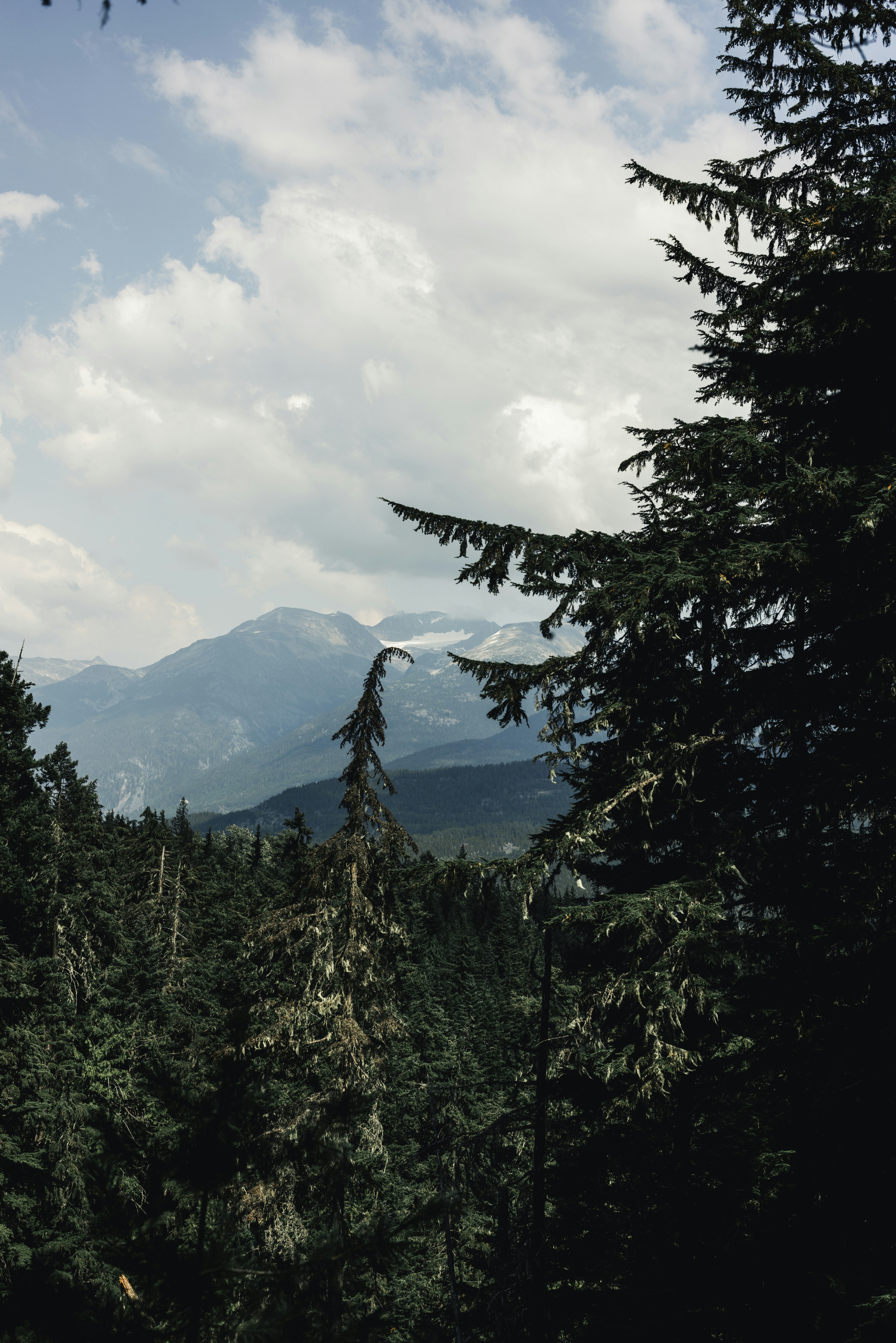 Photo by lureofadventure