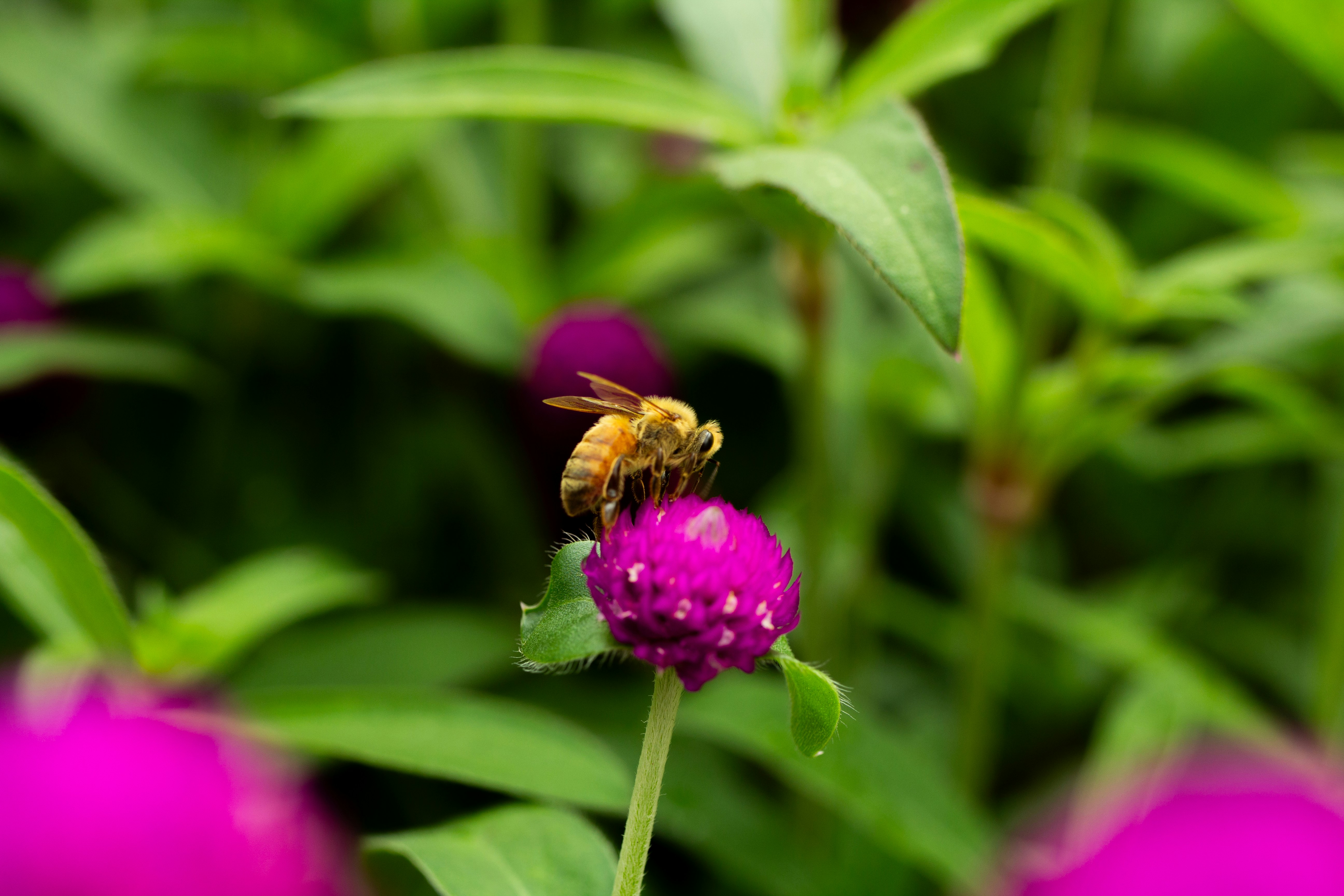 Photo by jennys_eye0