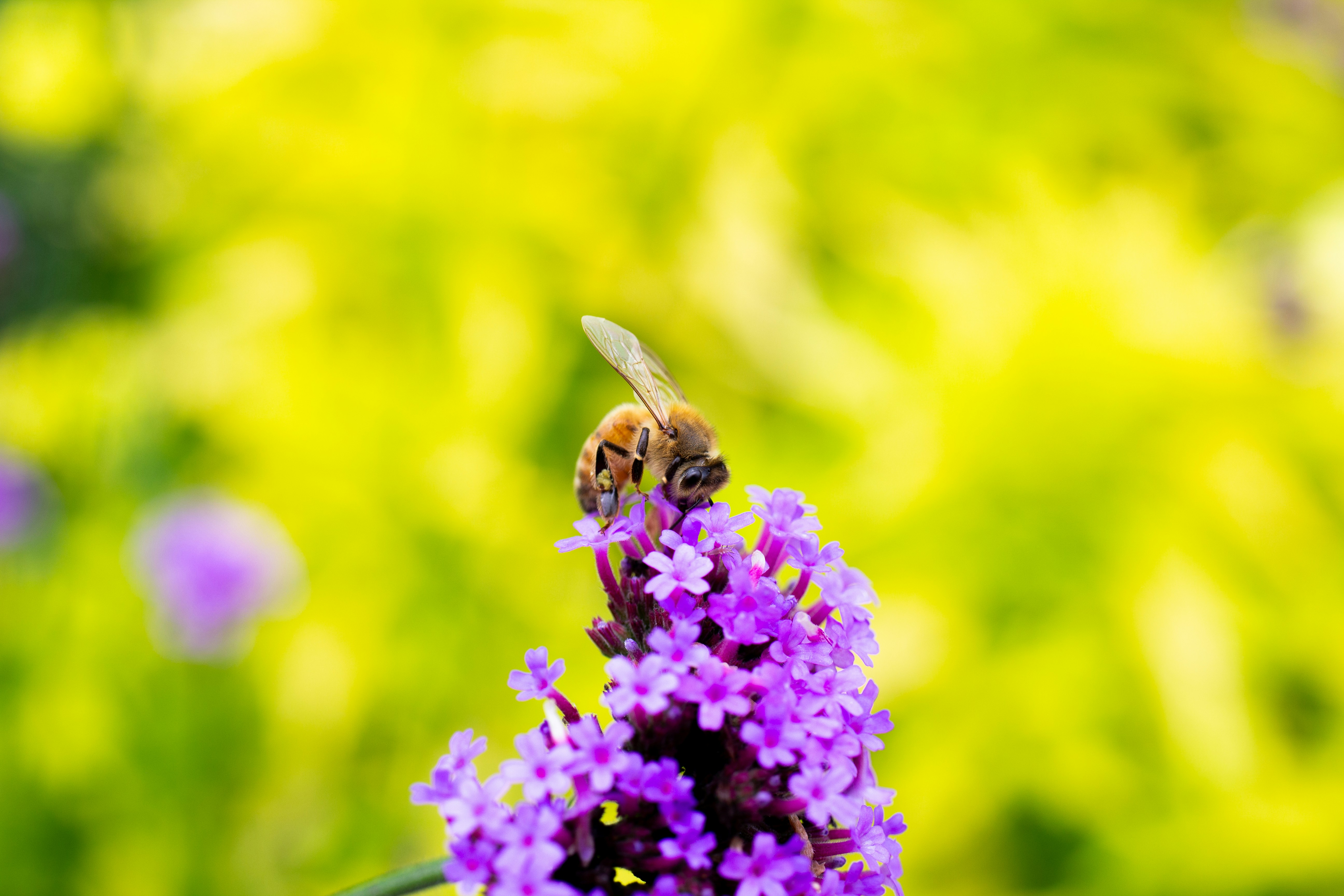 Photo by jennys_eye0