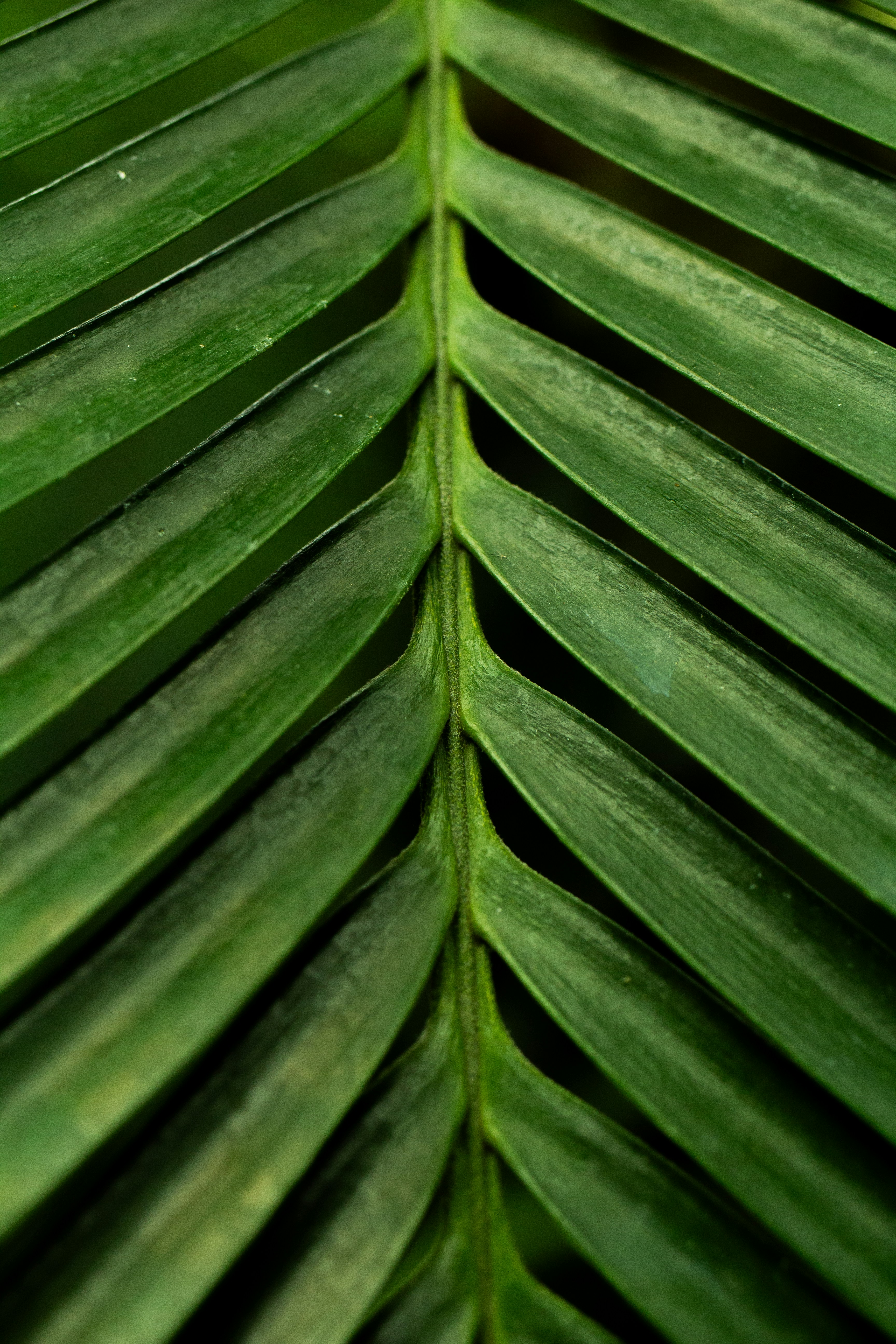 Photo by jennys_eye0