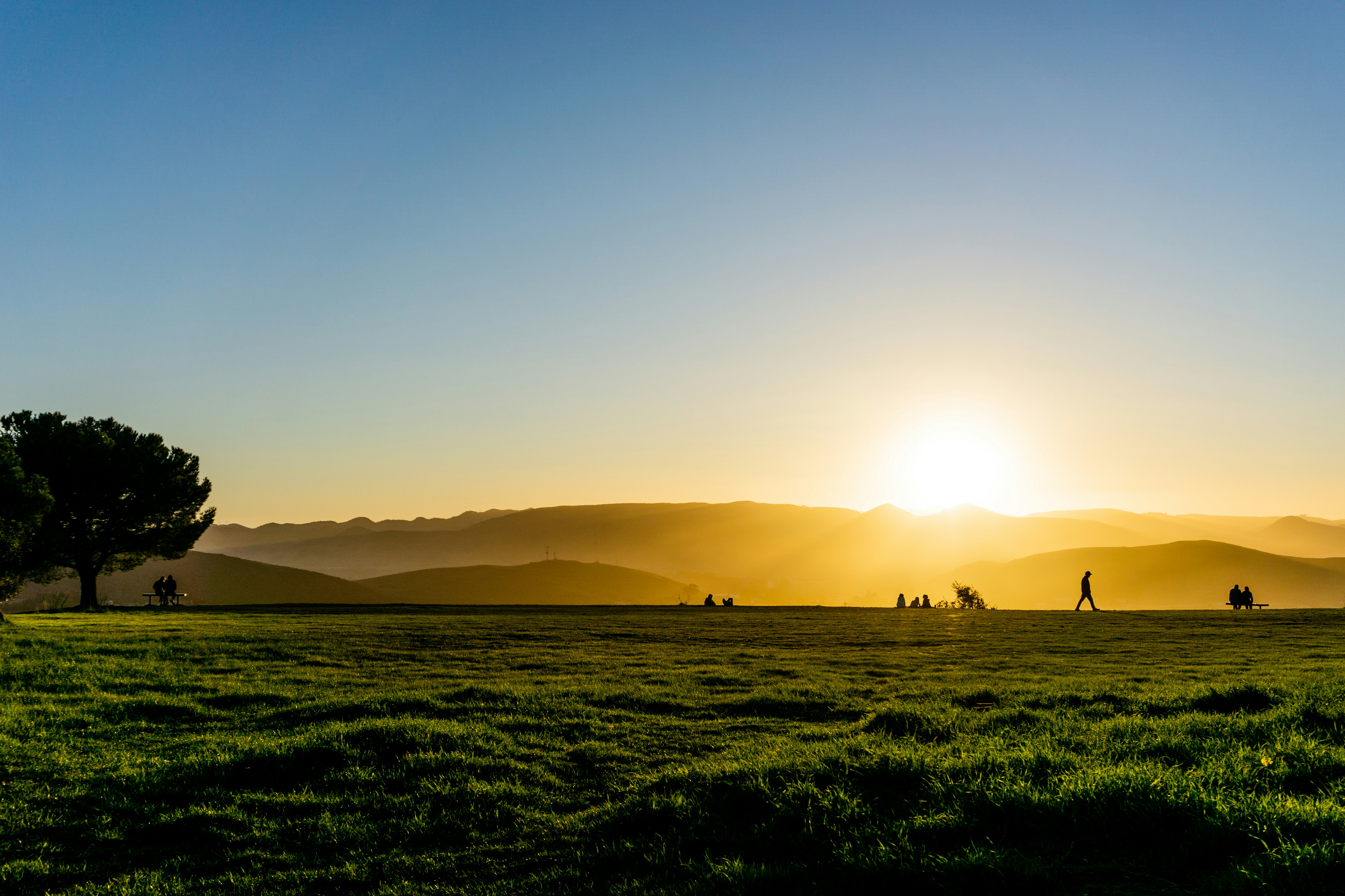 Photo by cam_cameras