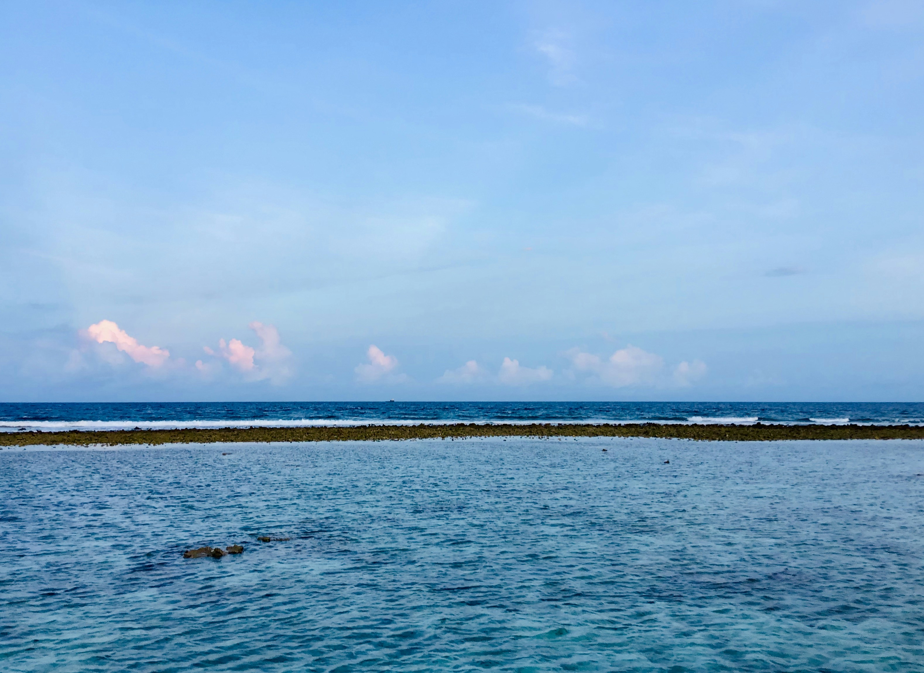 Photo by deepavalig
