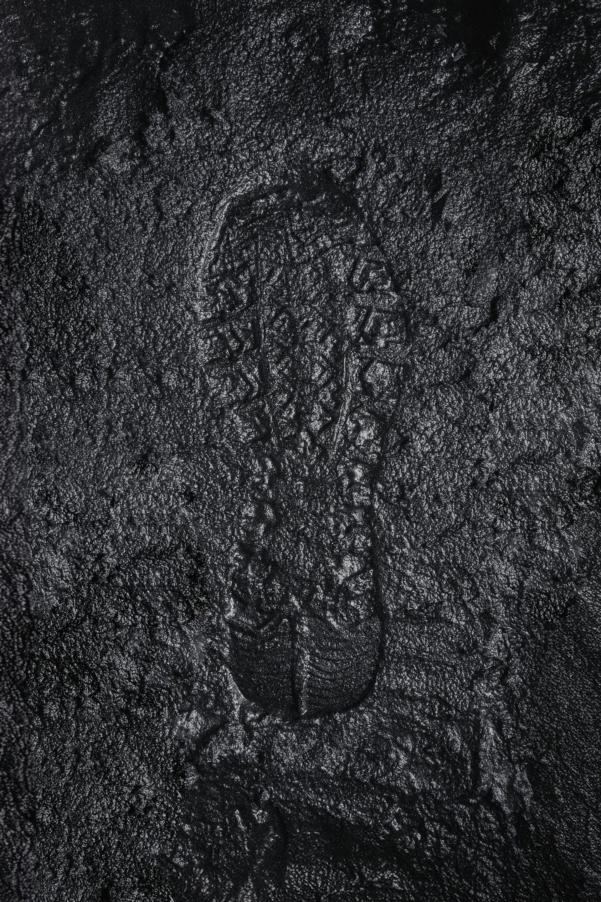 A black and white photo of a foot print on a rock