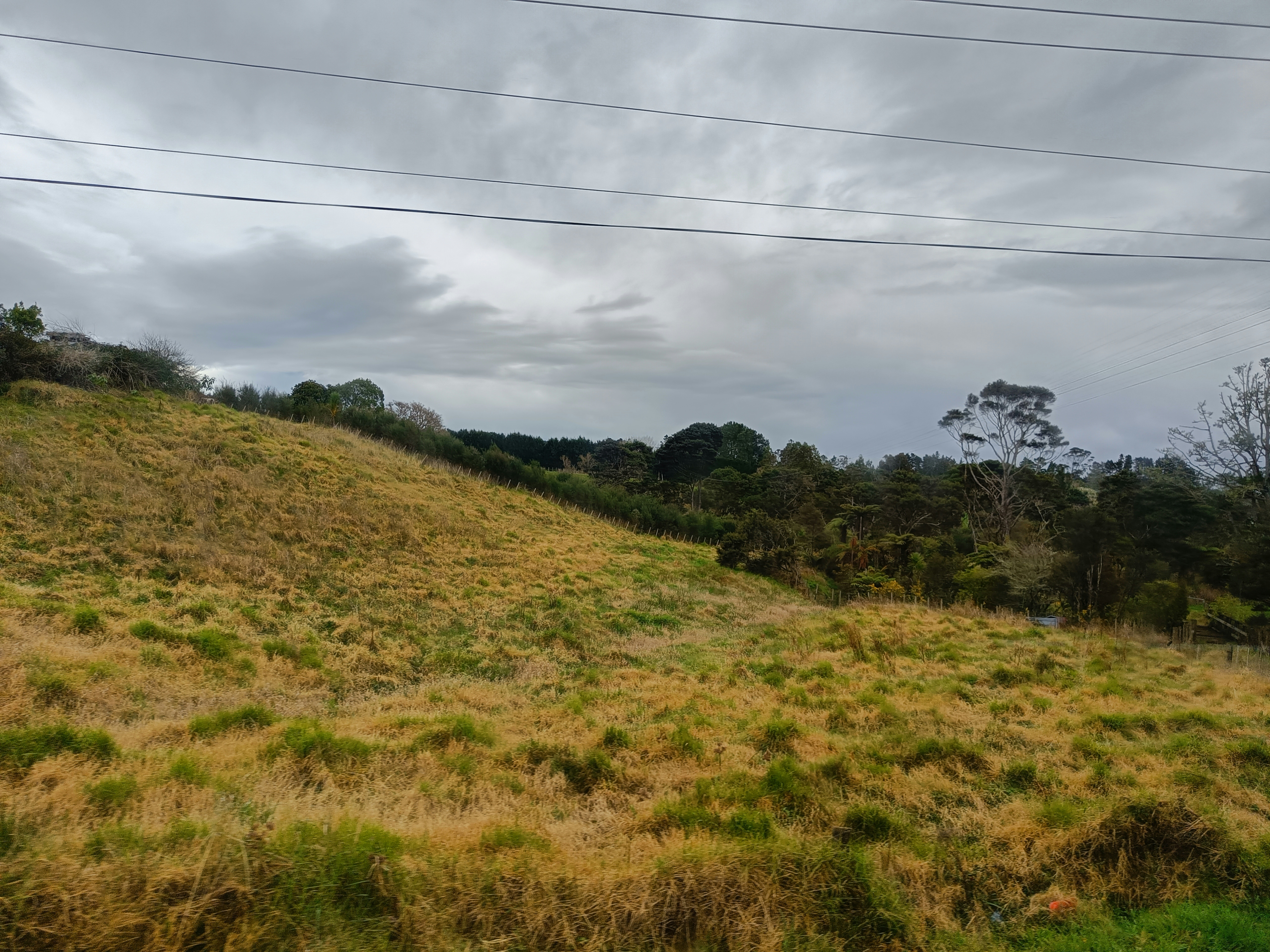 Photo by vamseedharg