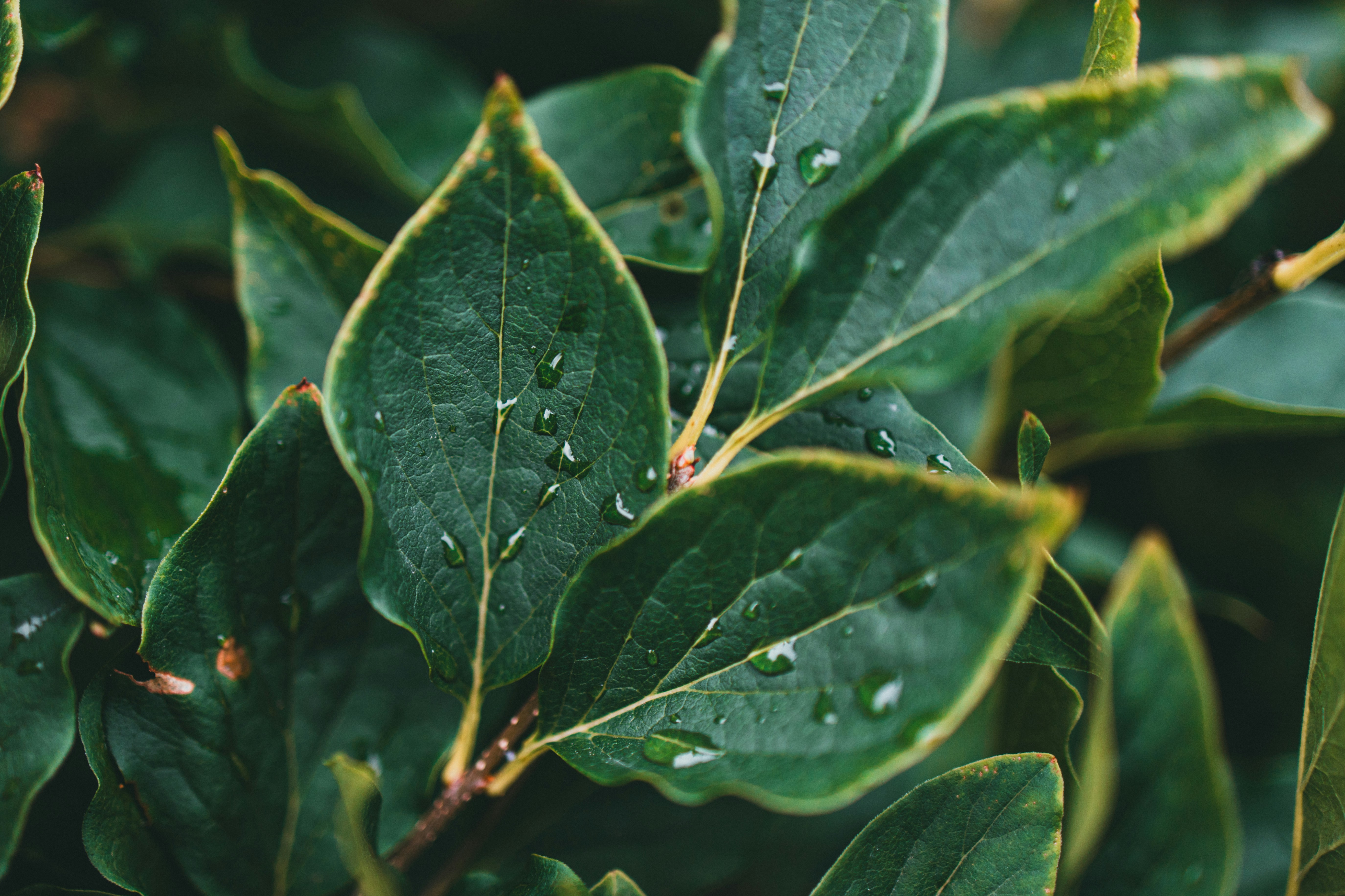 Photo by theshuttervision