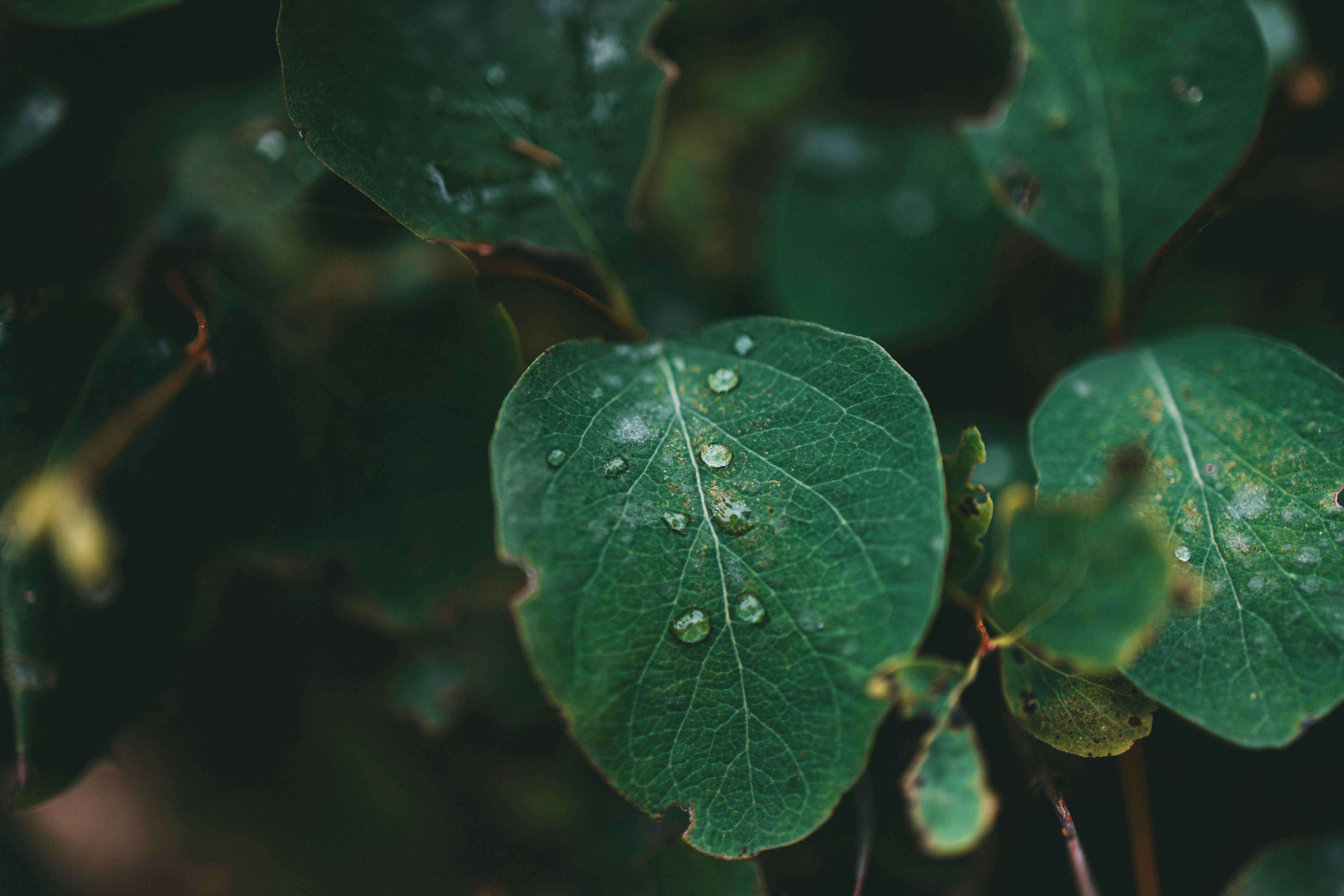 Photo by theshuttervision