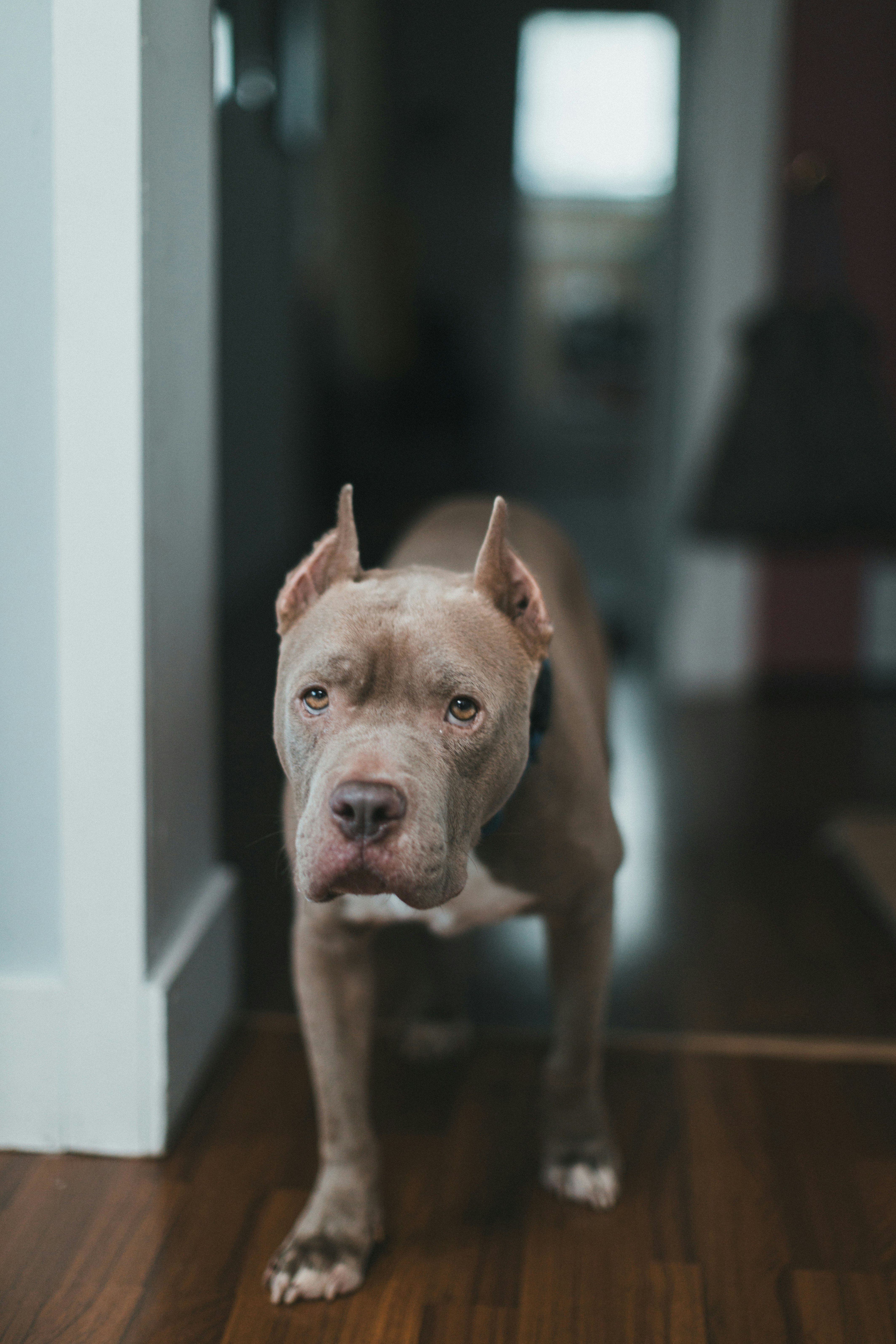 Photo by theshuttervision