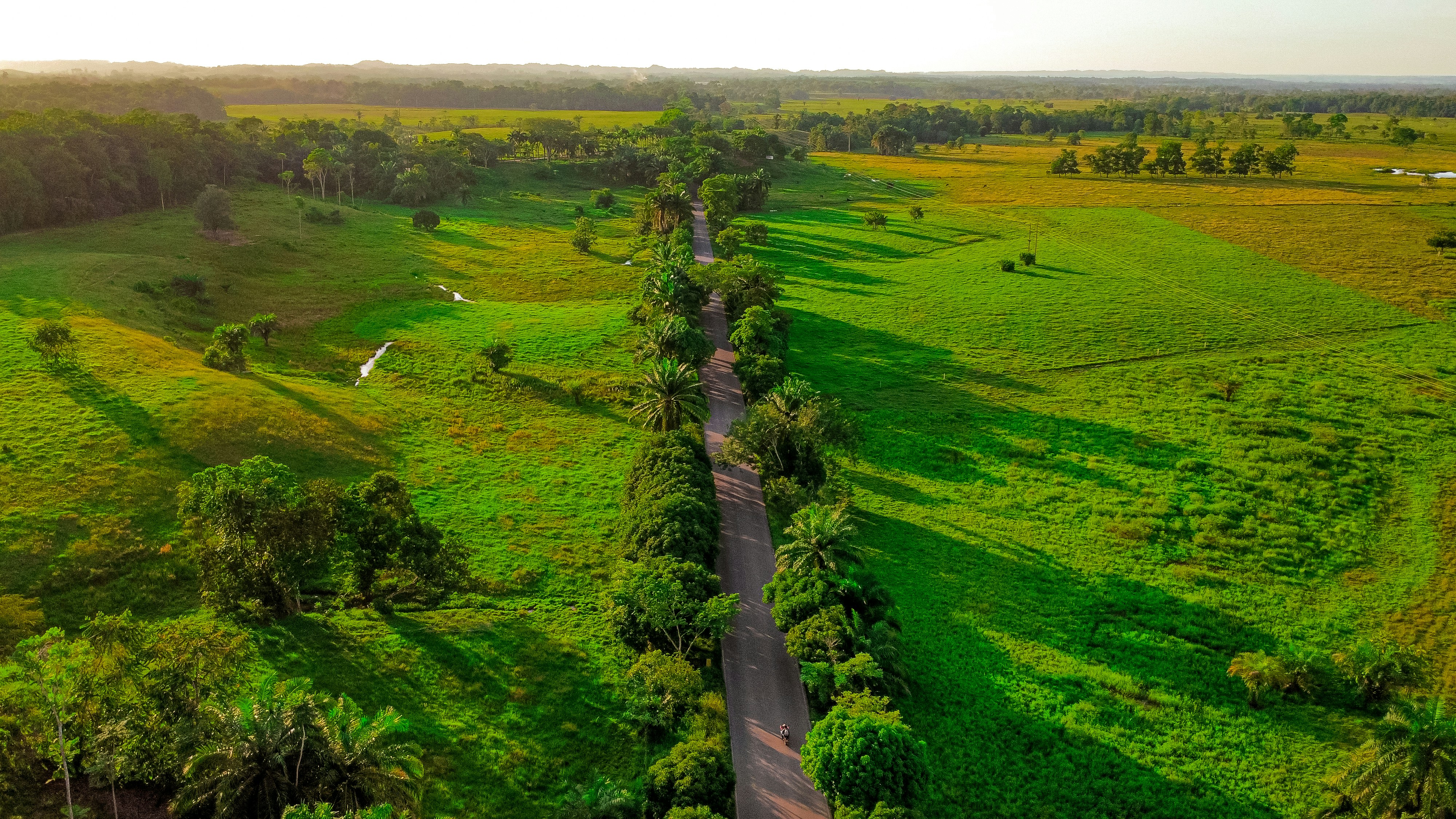 Photo by camilabermudez