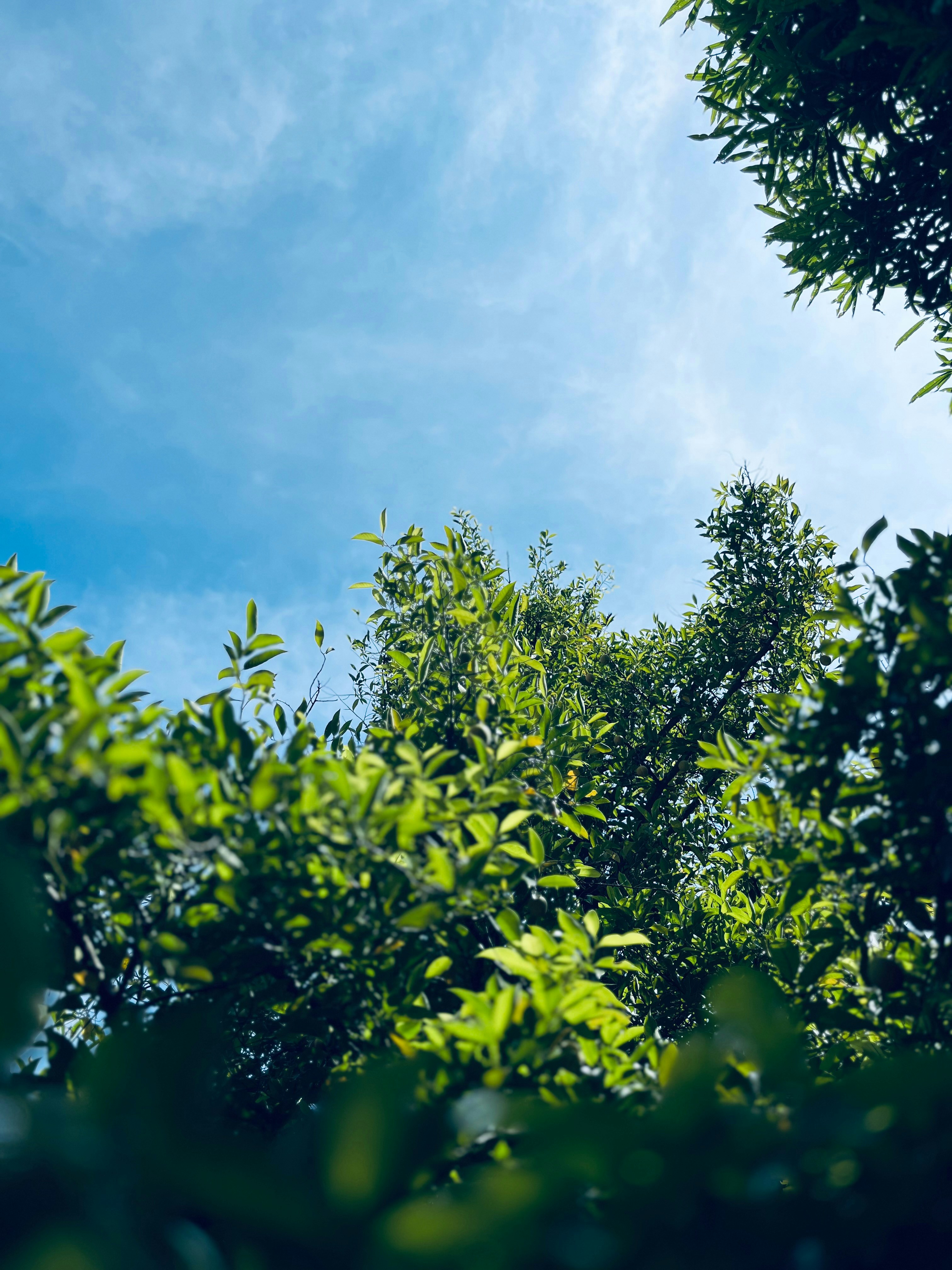 Photo by koshygeorge