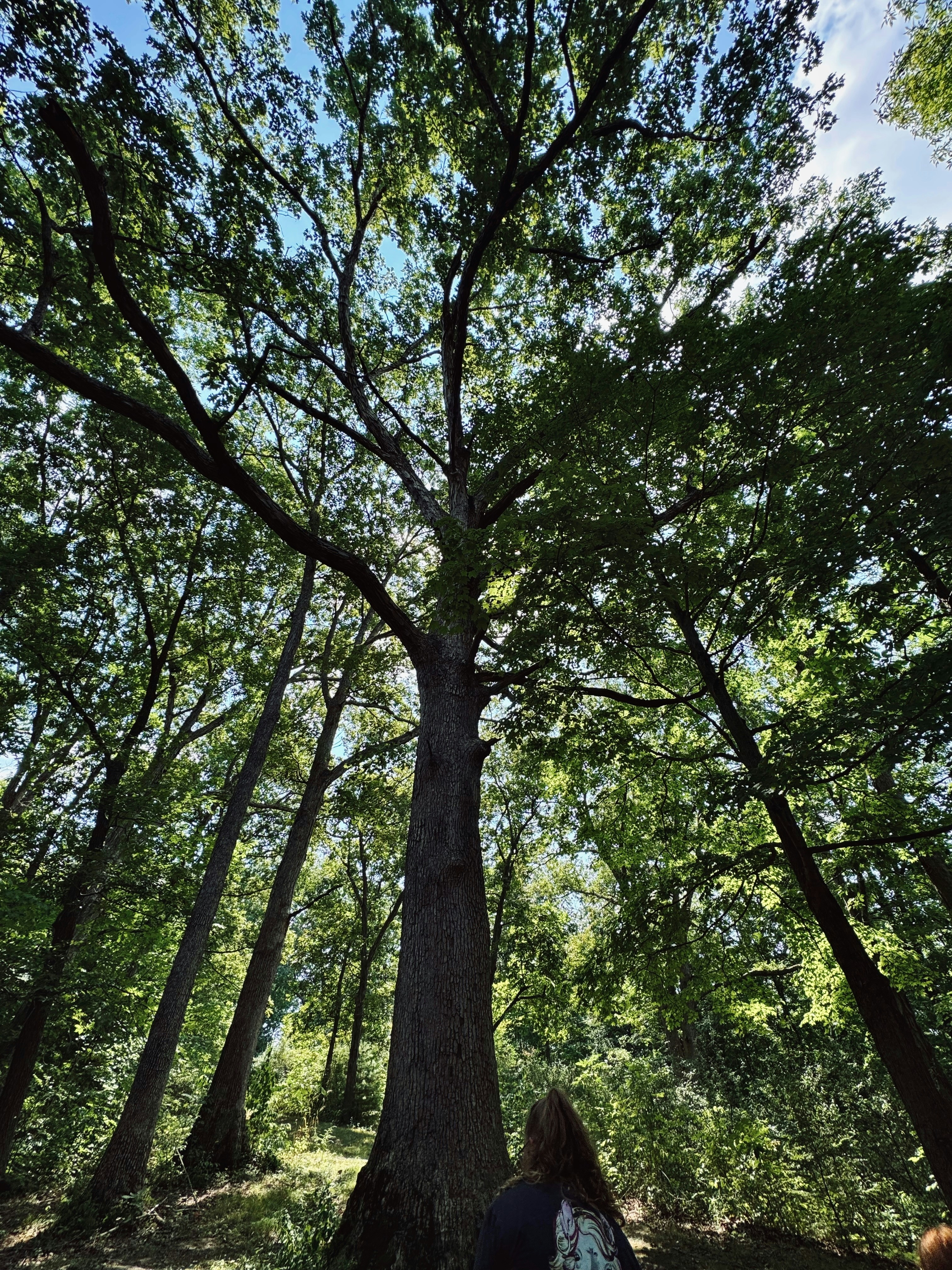 Photo by joshistheshit91