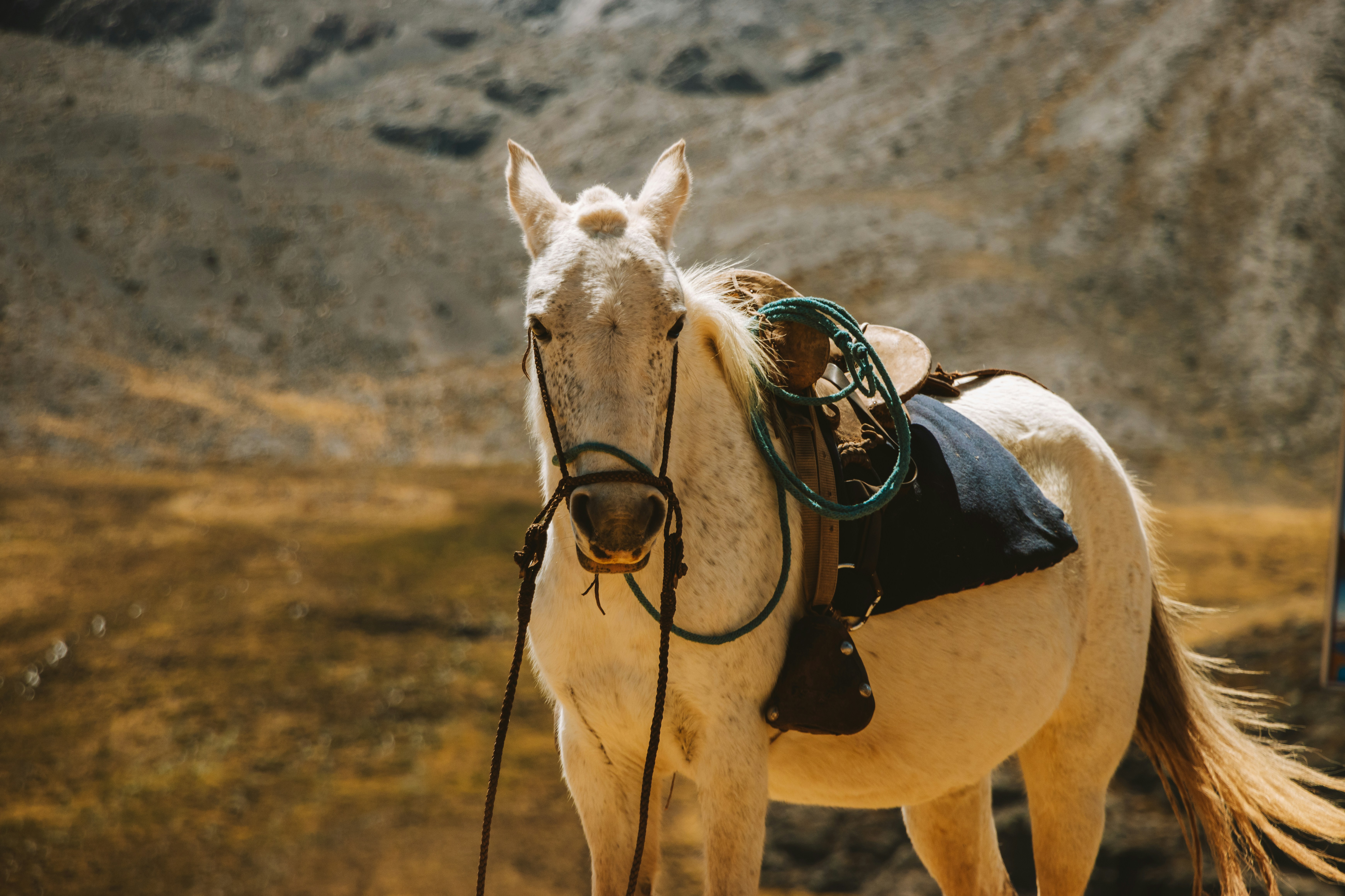 Photo by frandphotos