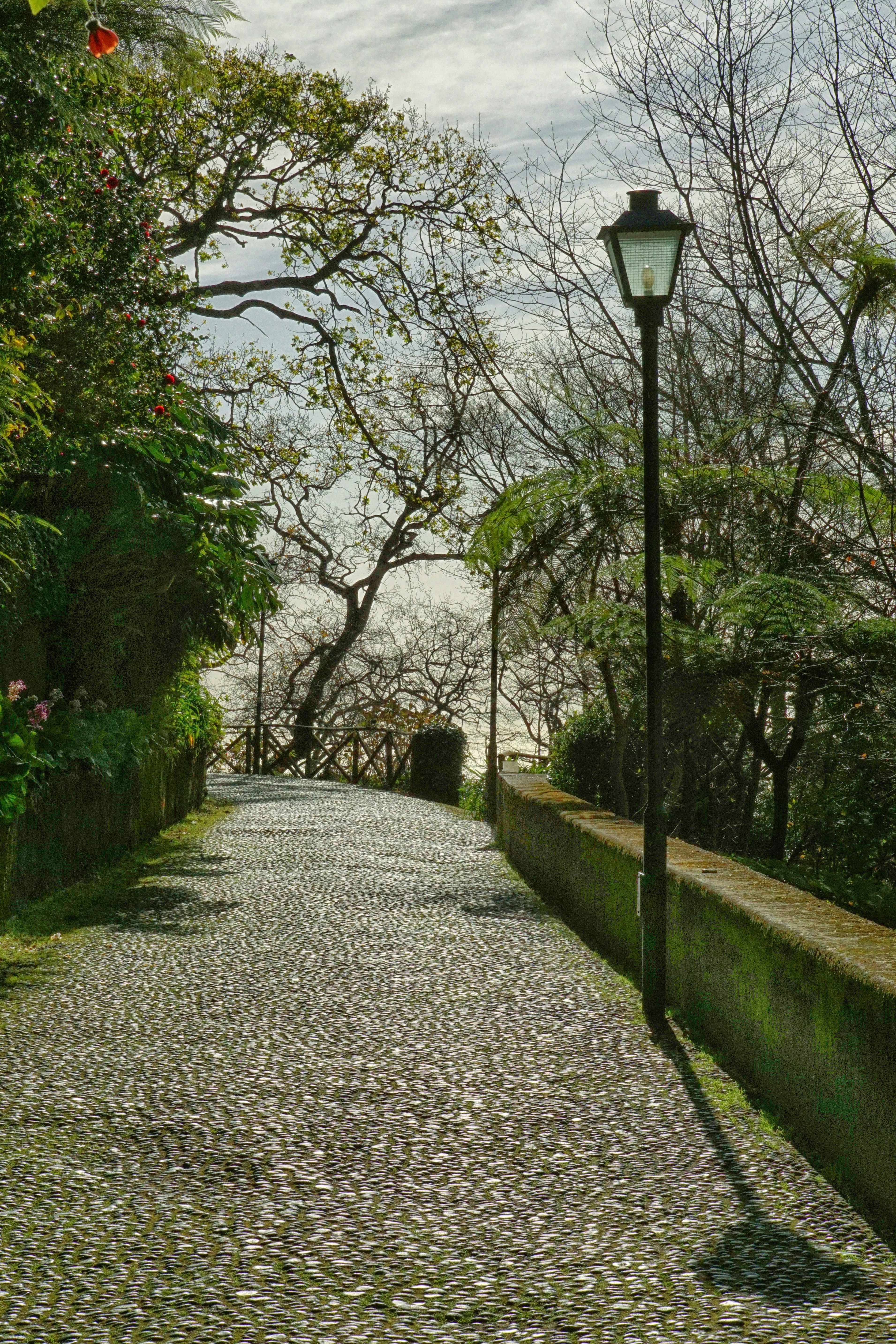A cobblestone street with a lamp post on the side photo – Free Madeira ...