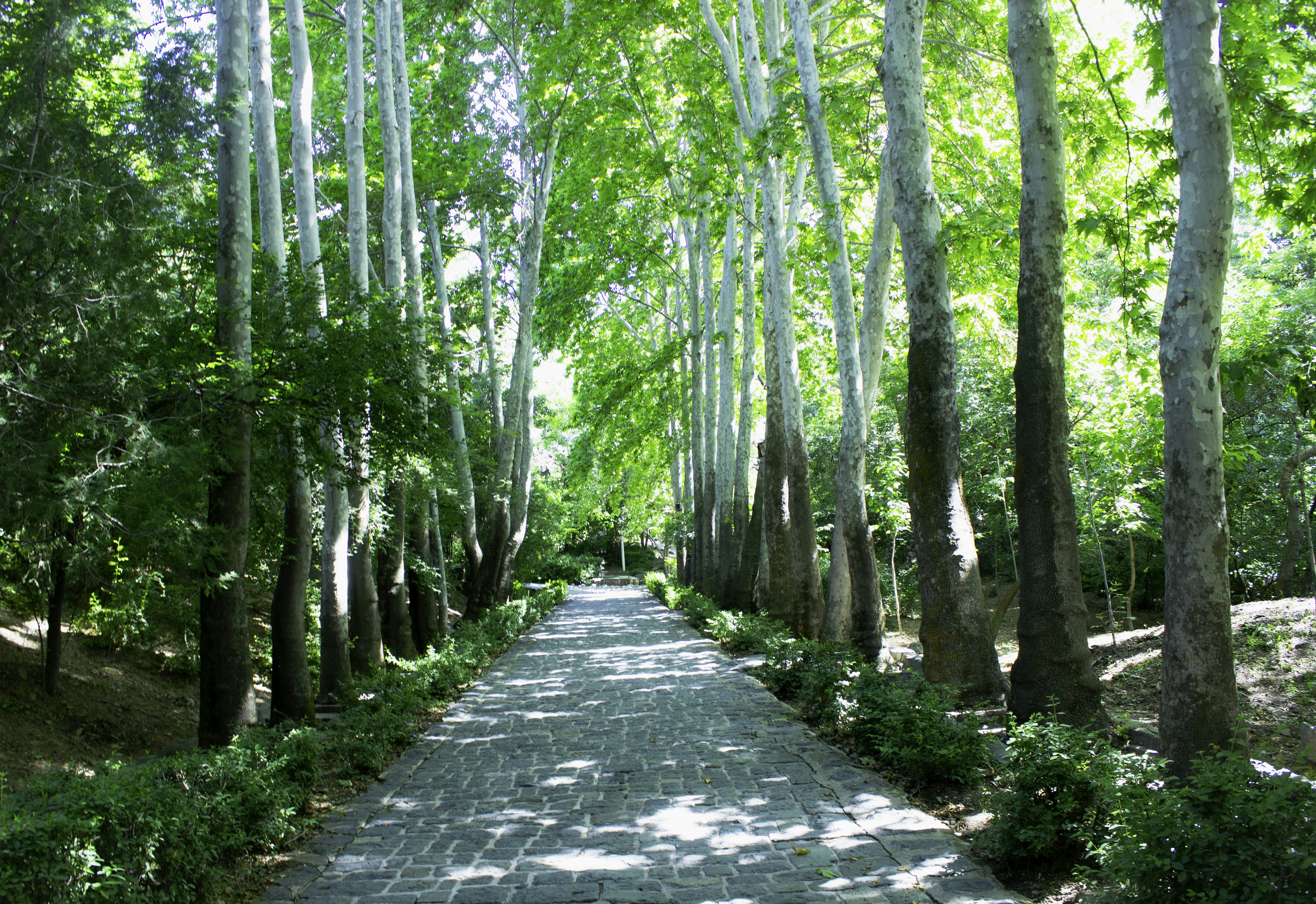 Photo by elham_frame