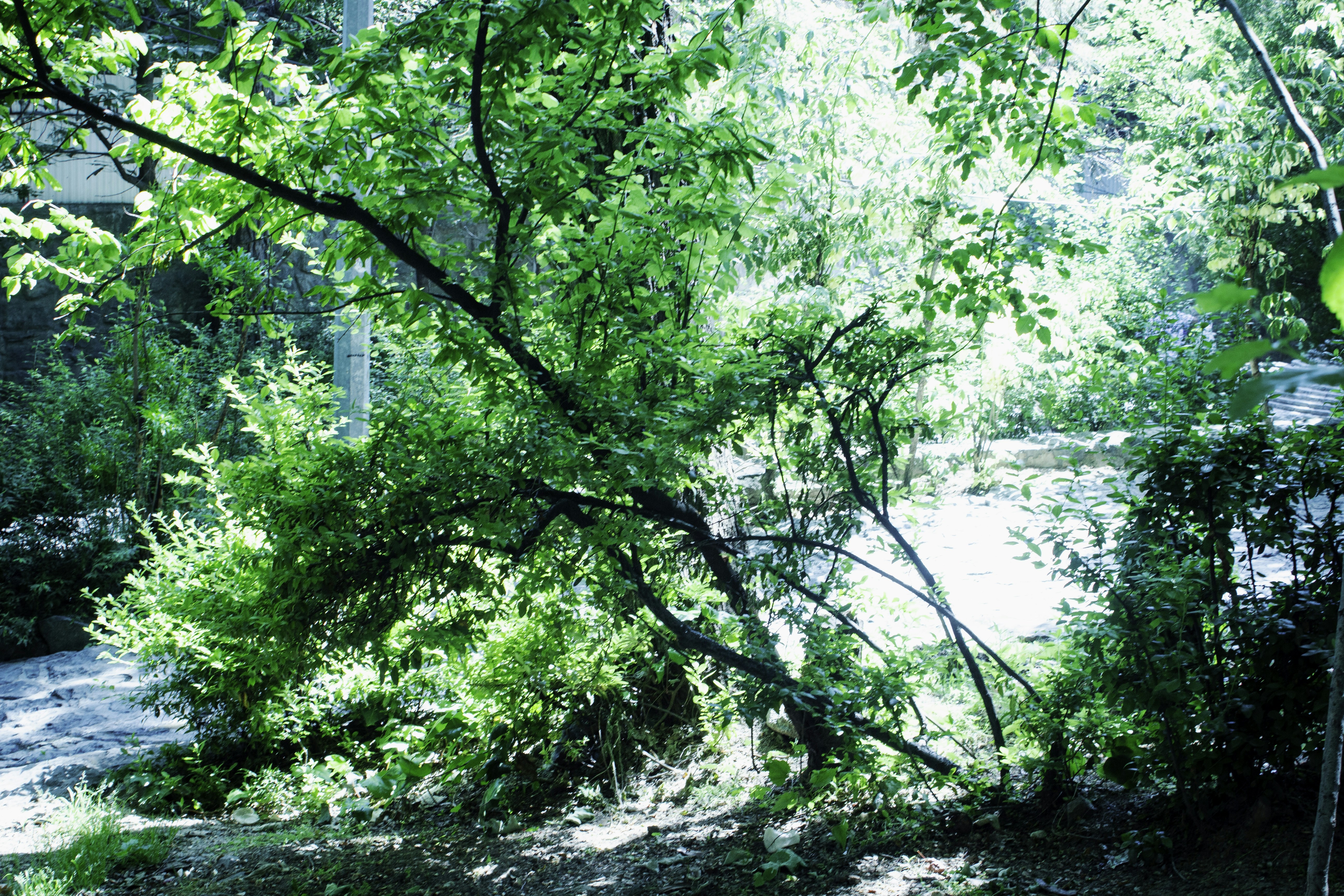 Photo by elham_frame