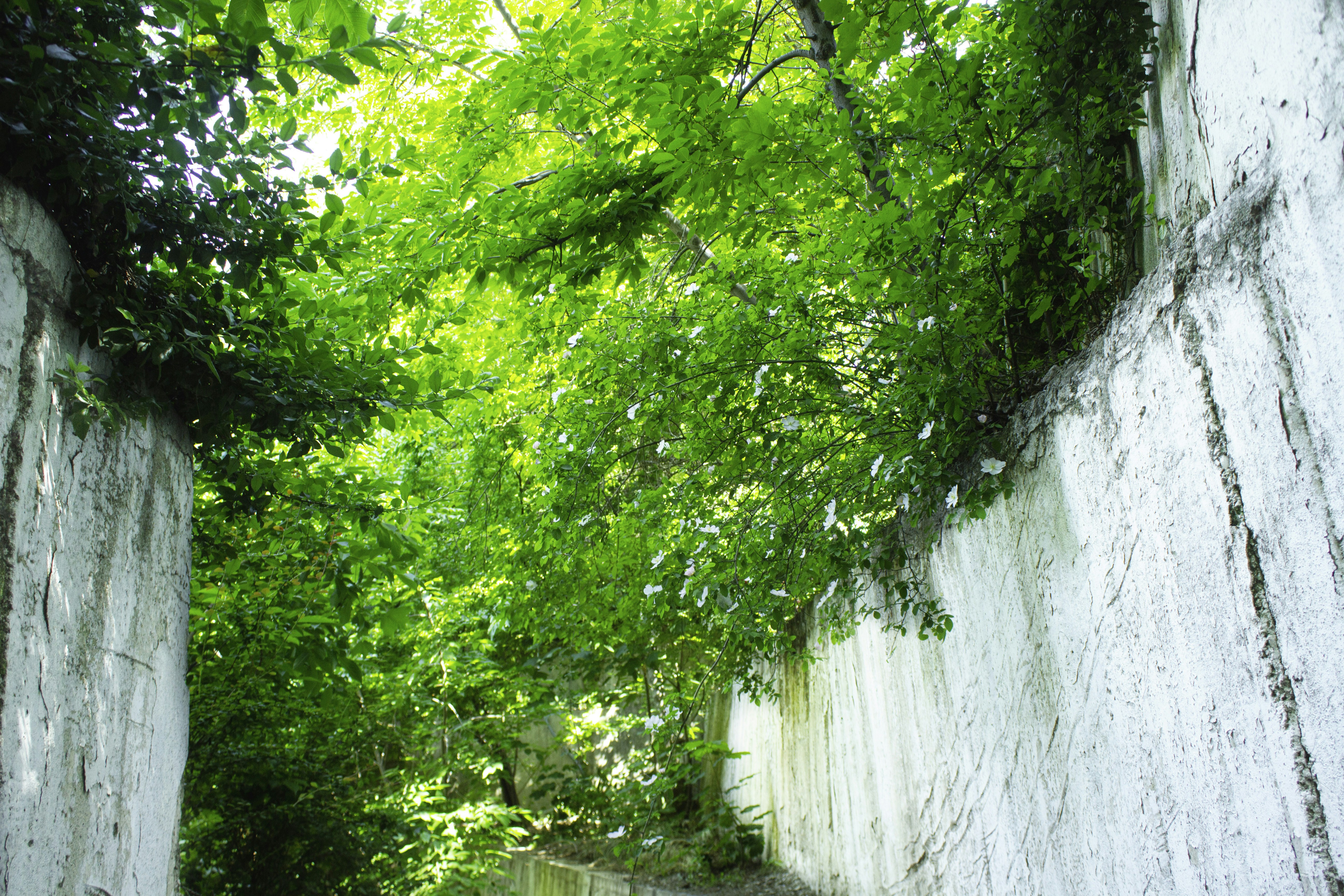 Photo by elham_frame