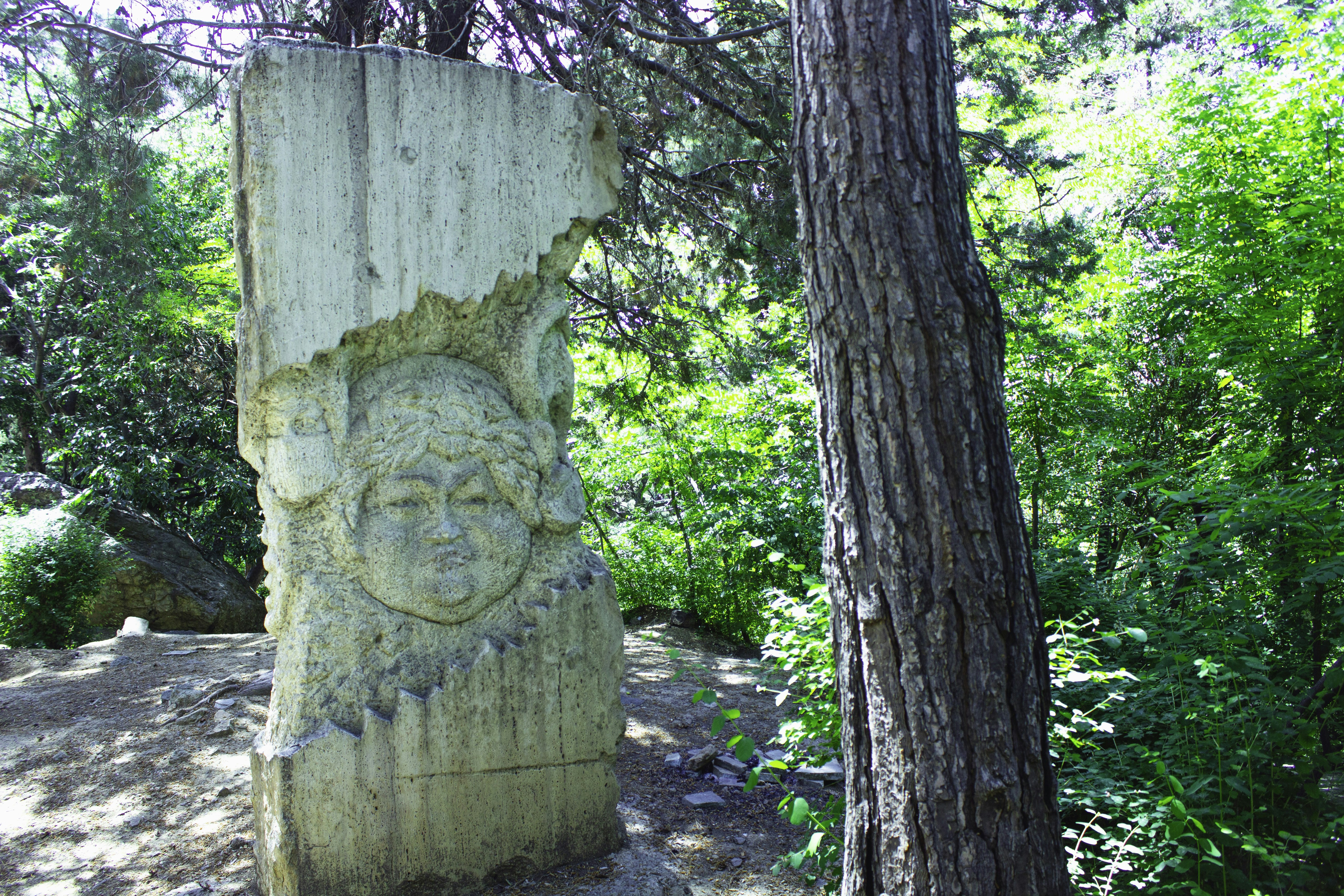 A large rock in the middle of a forest