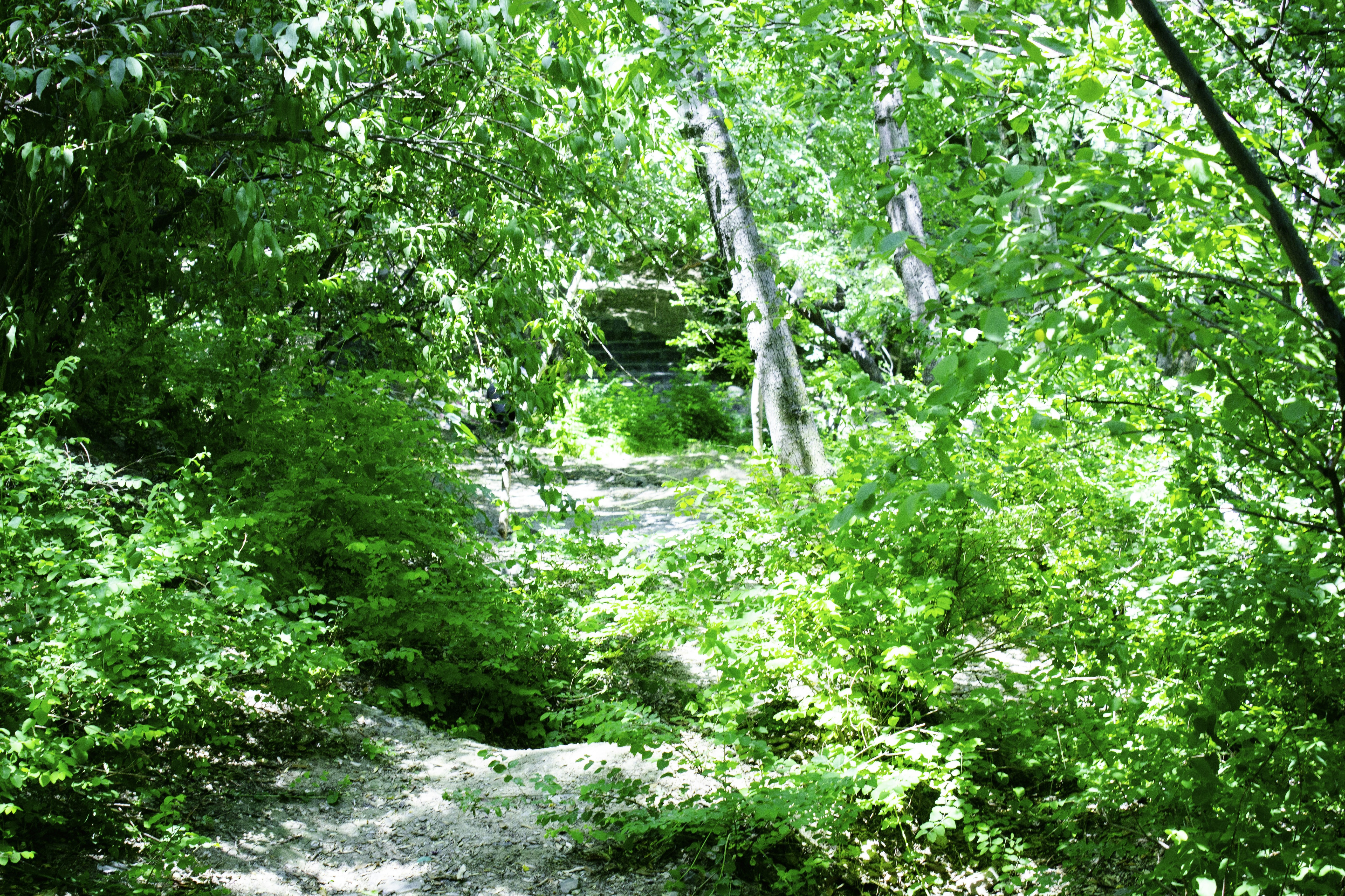 Photo by elham_frame