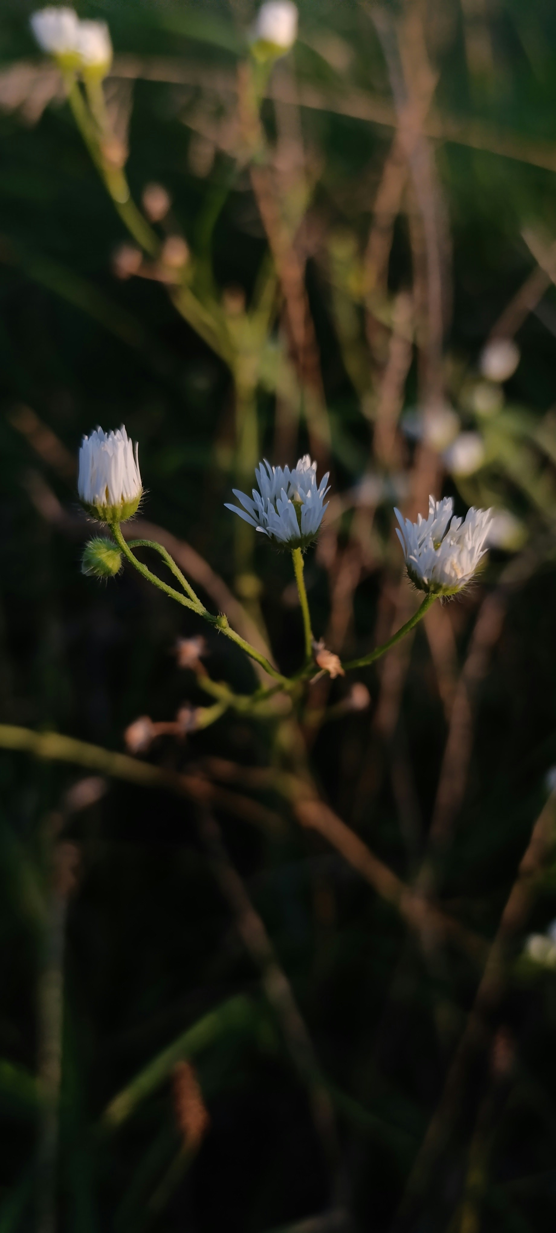 Photo by akari_kamikadze