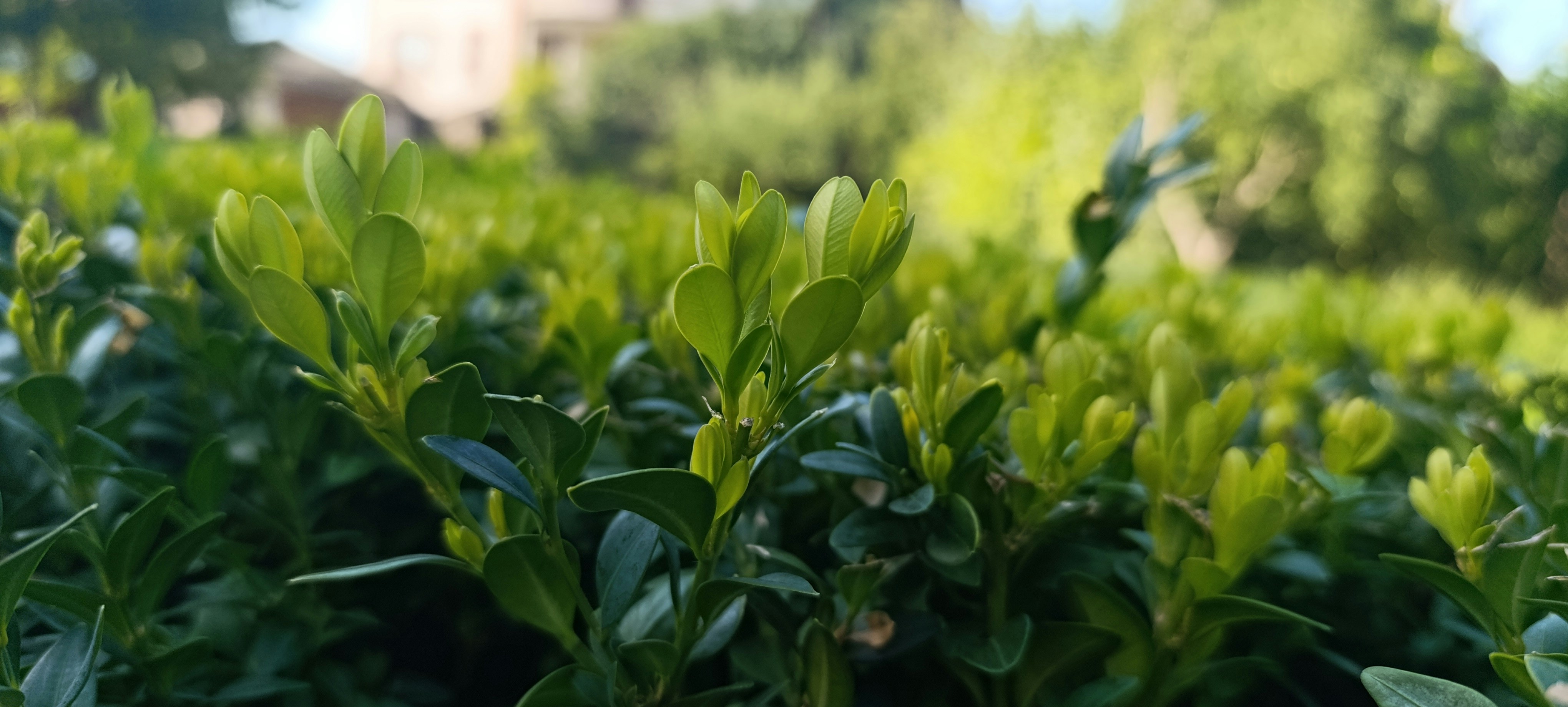 Photo by akari_kamikadze