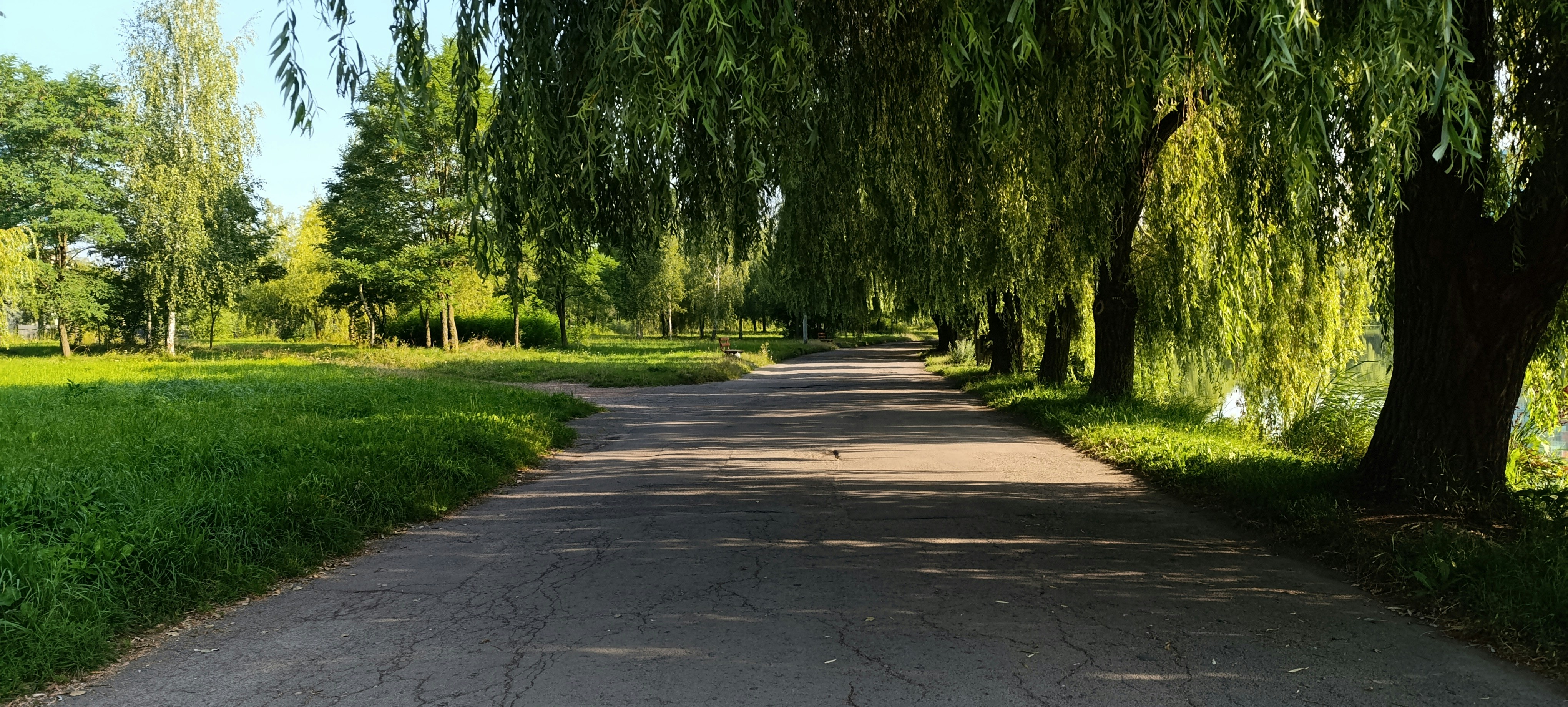 Photo by akari_kamikadze