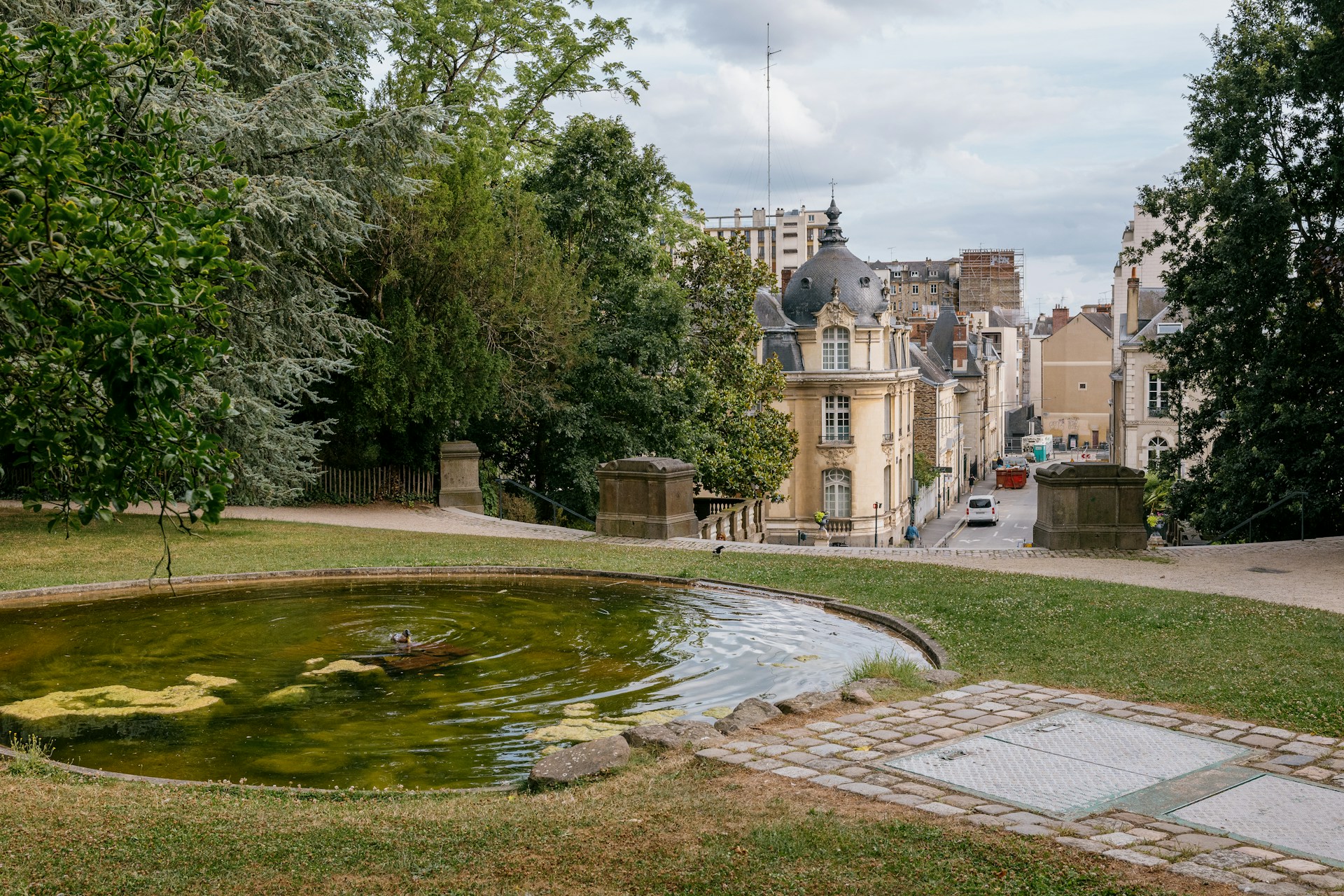 A small pond in the middle of a park