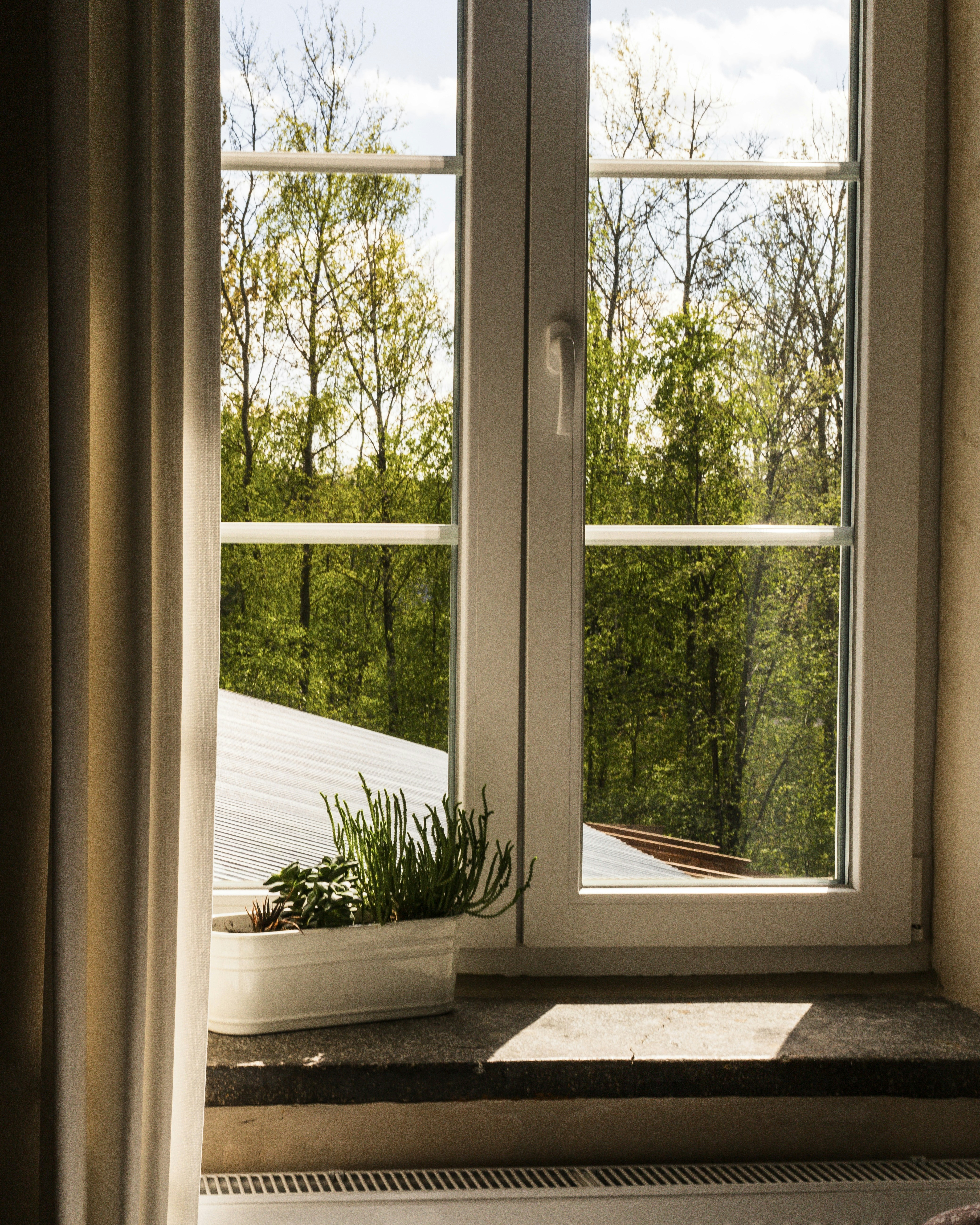 A window with a view of the trees outside