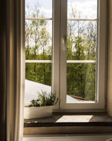 A window with a view of the trees outside