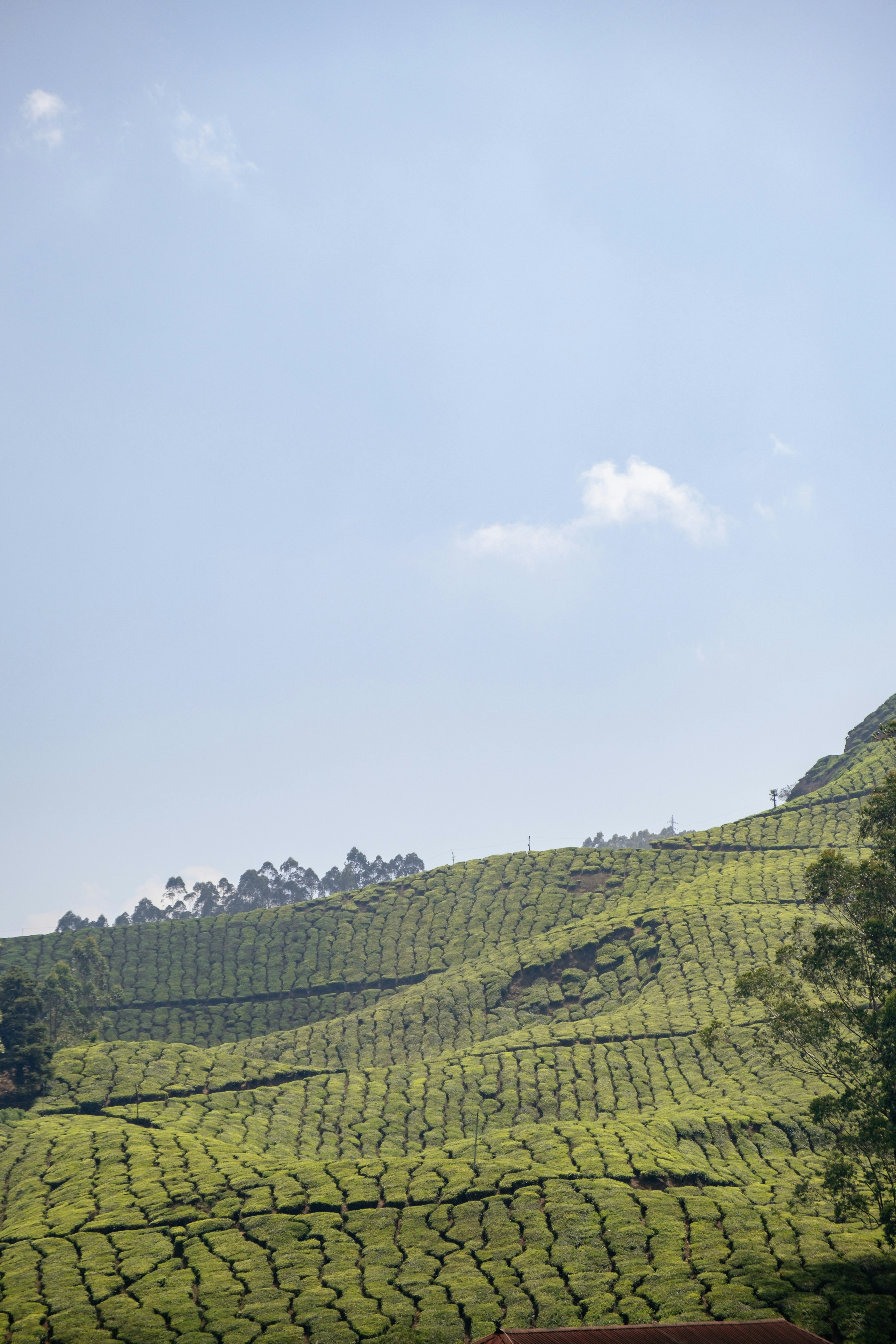 Photo by johanmouchet