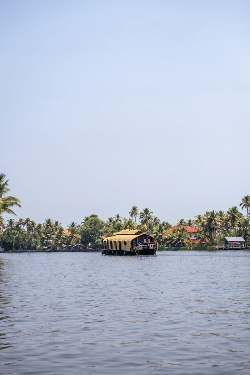 Boat traveling down a river surrounded by palm trees