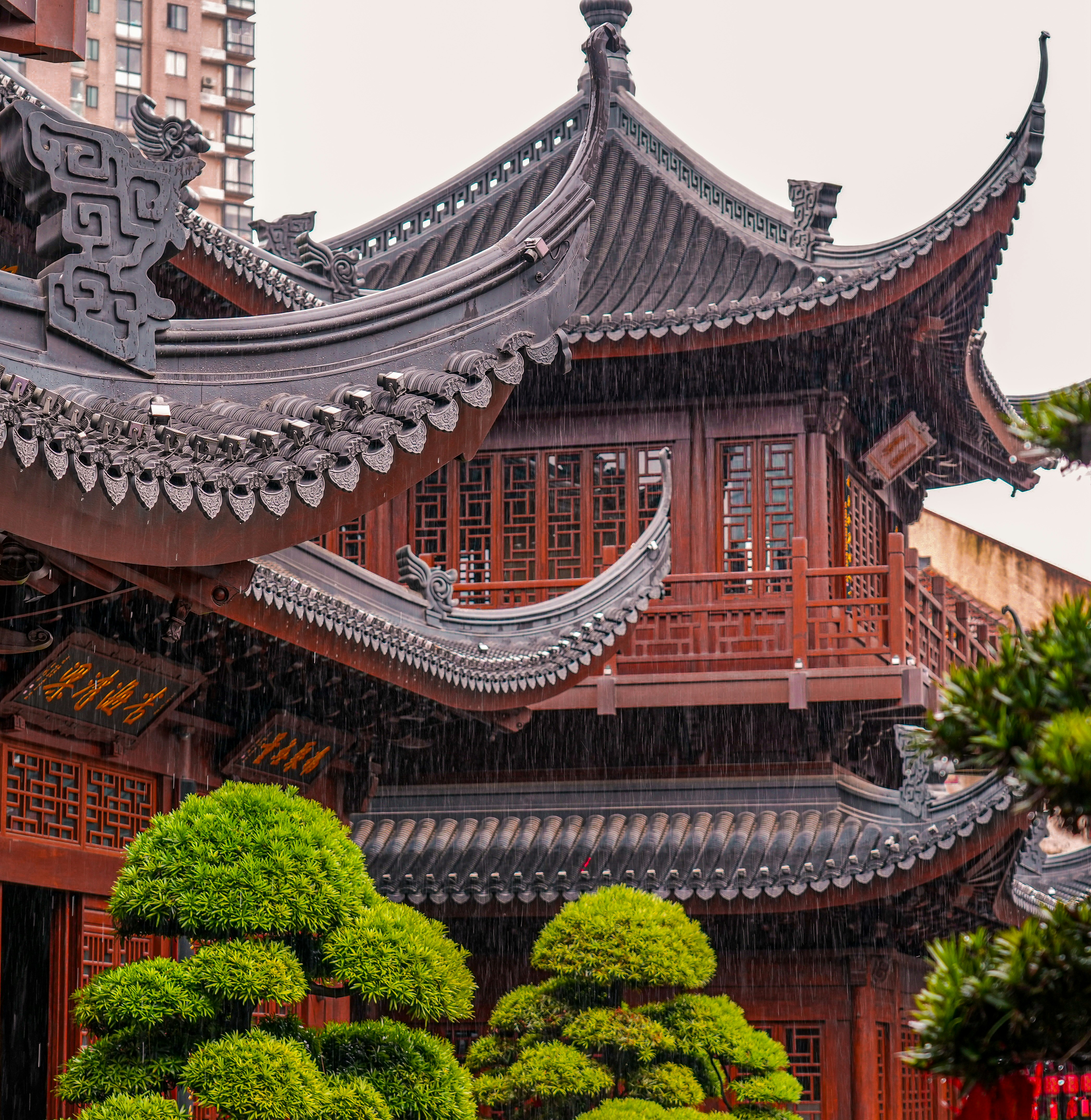 Photo by prashantmufc007