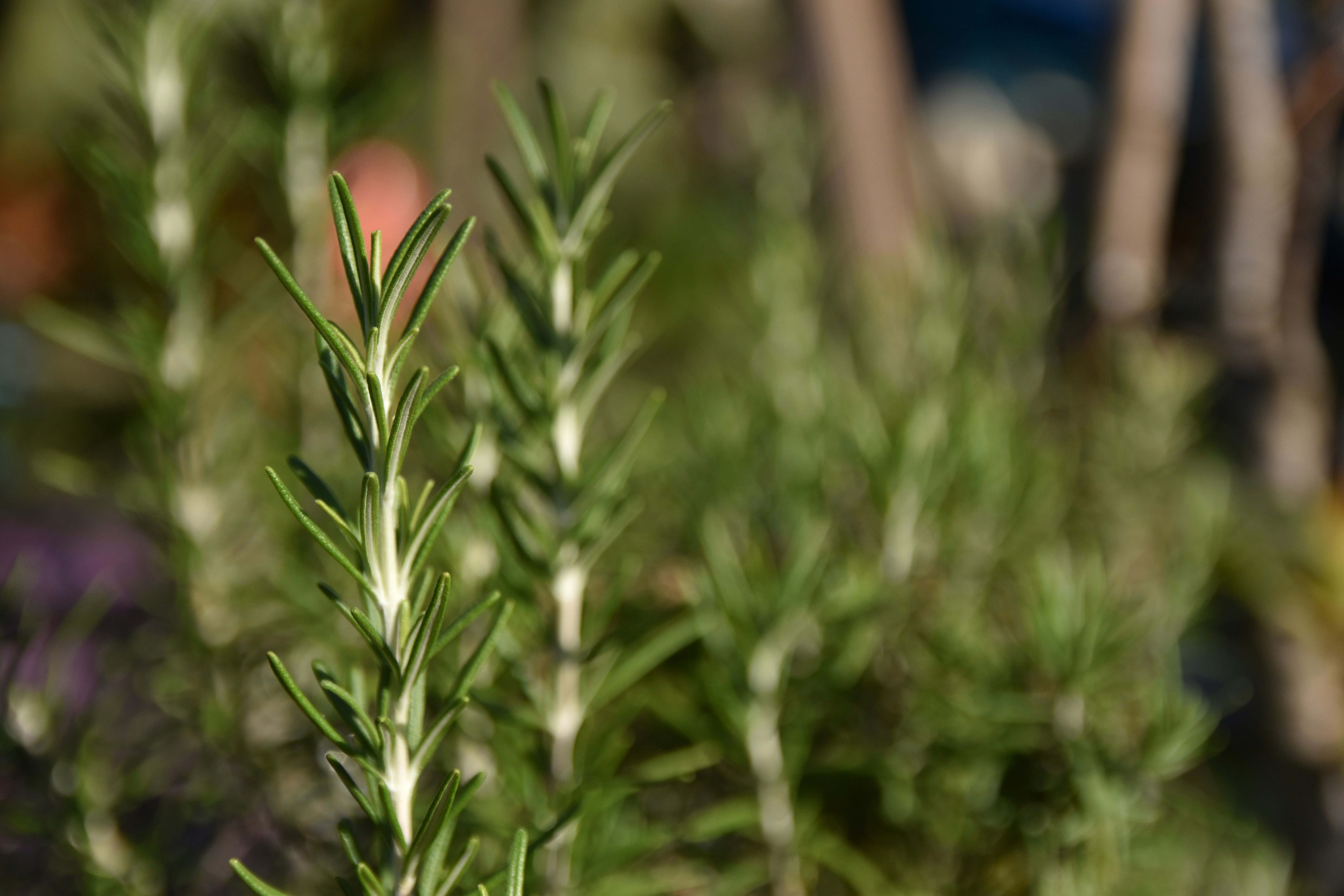 Photo by veronica_chalyj