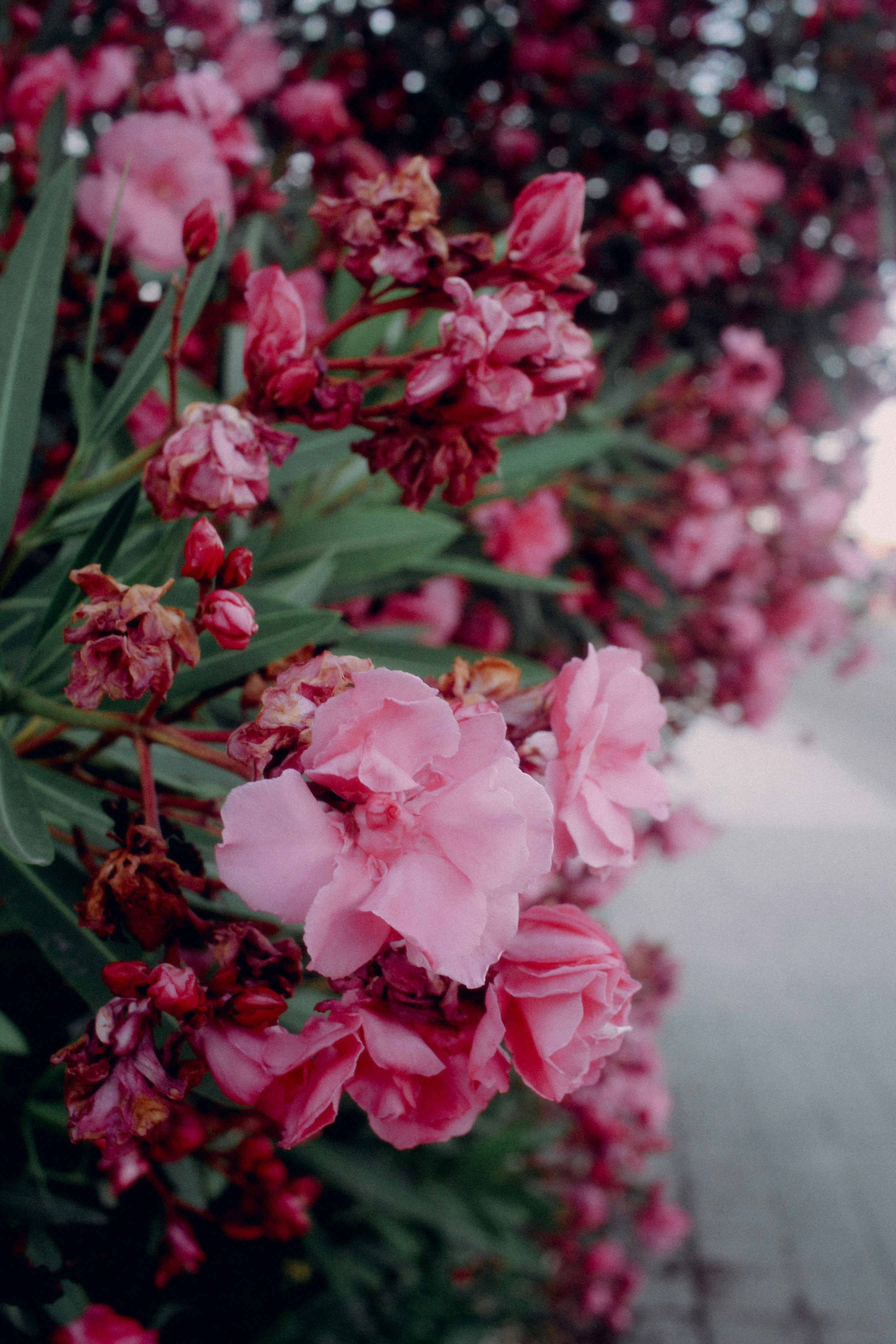 Photo by omarcelorangel