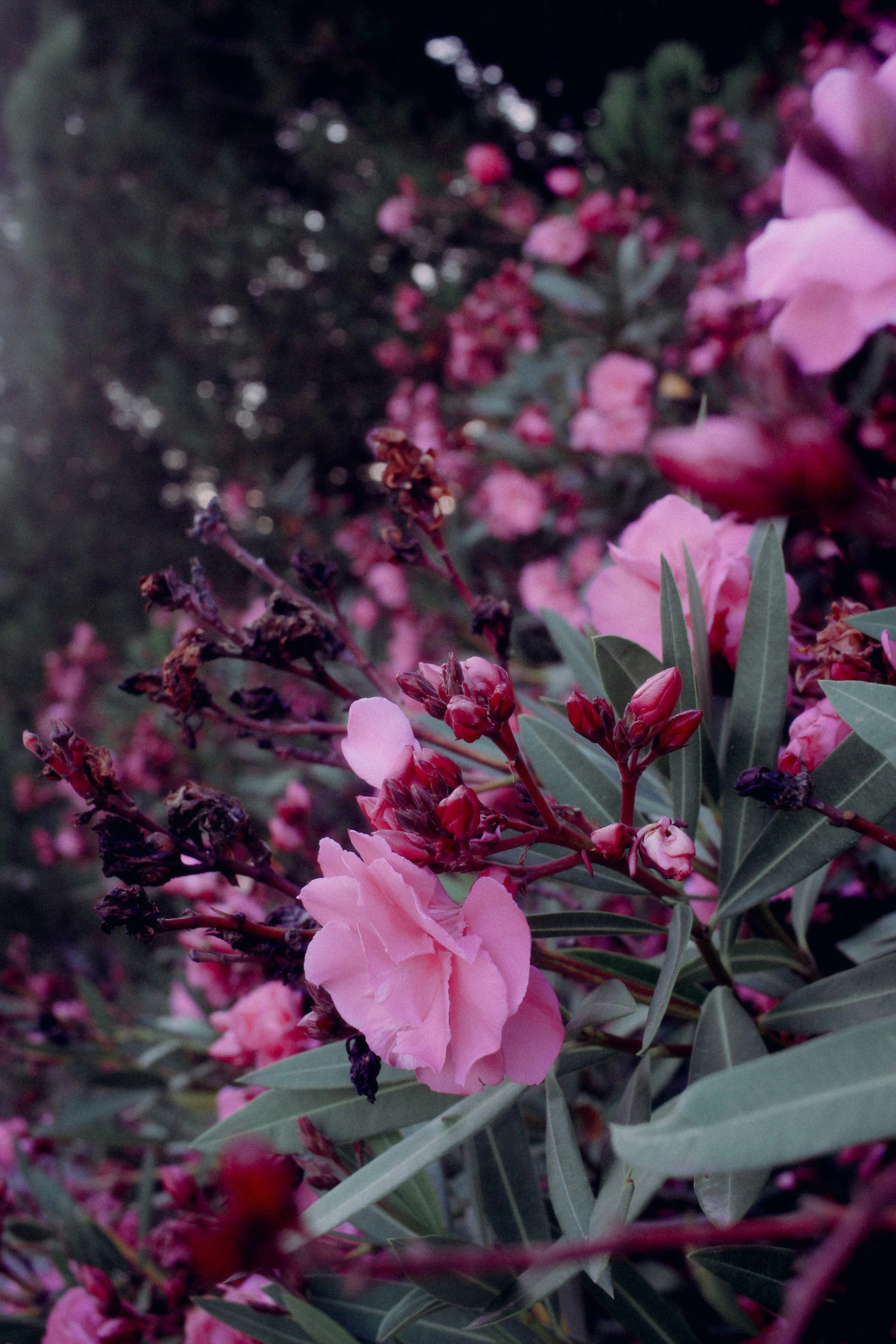 Photo by omarcelorangel