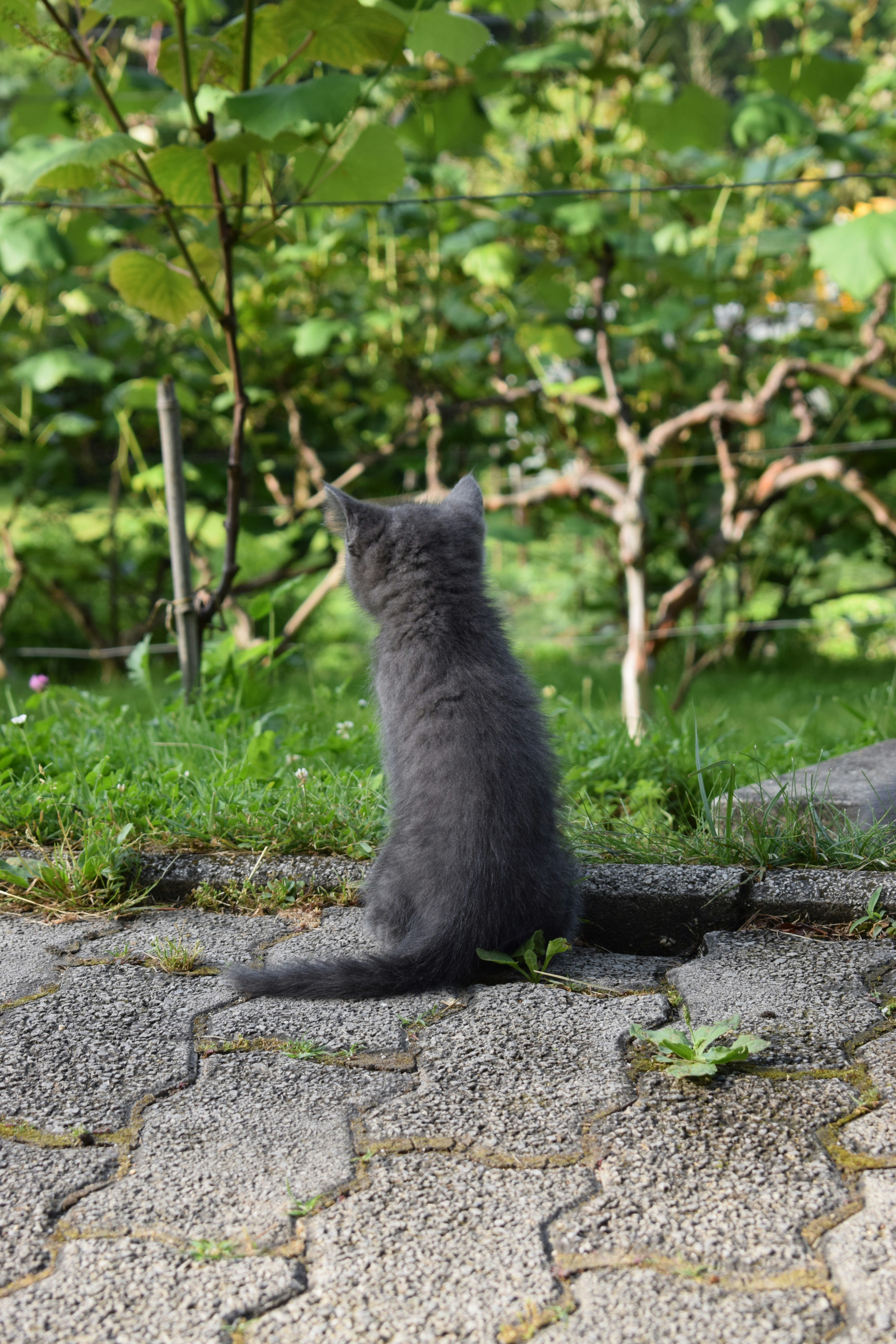 Expressing Curiosity and Exploration (image credits: unsplash)
