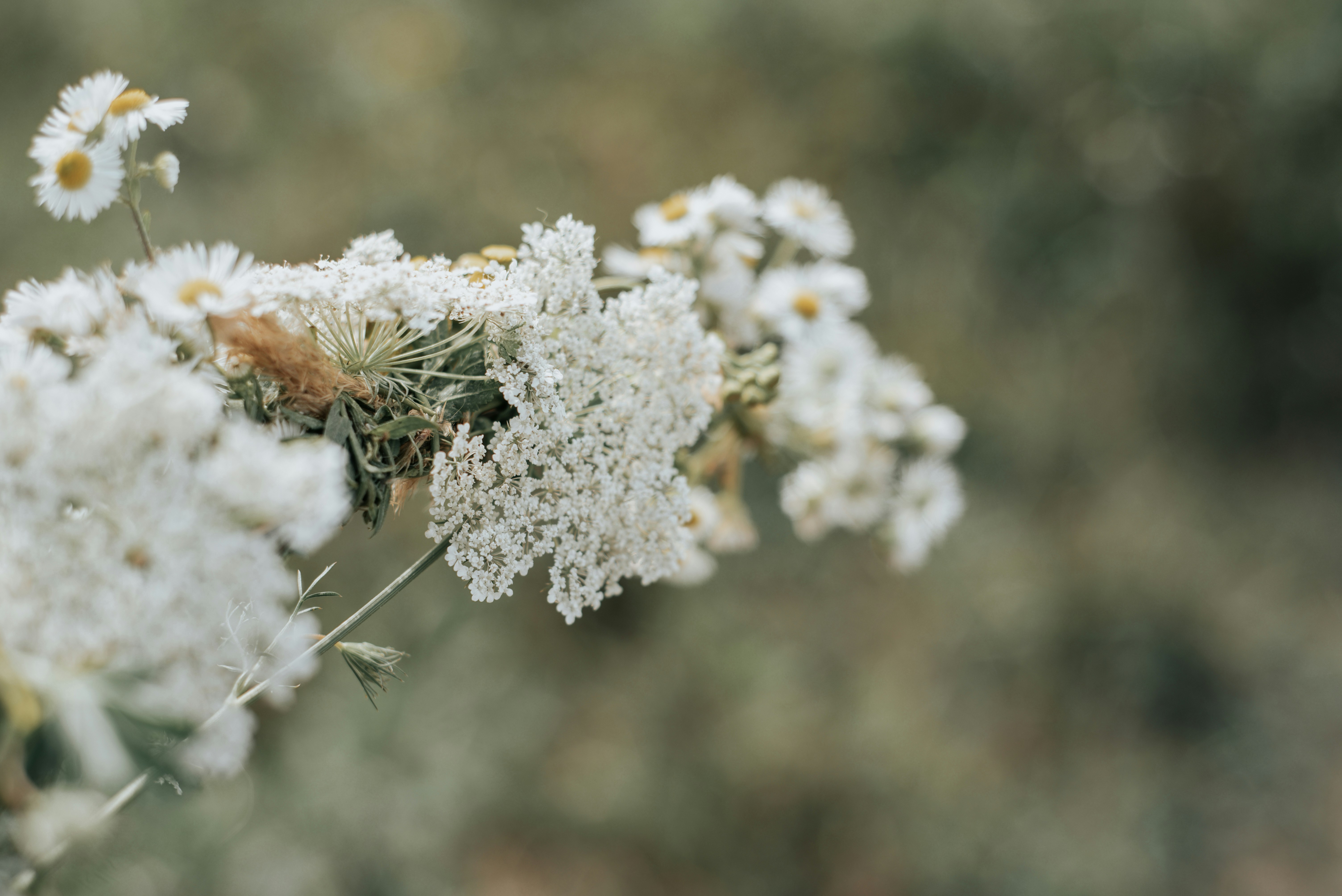 Photo by domowe_ustronie