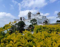 A large white building surrounded by yellow flowers
