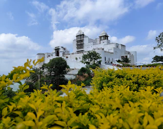 A large white building surrounded by yellow flowers