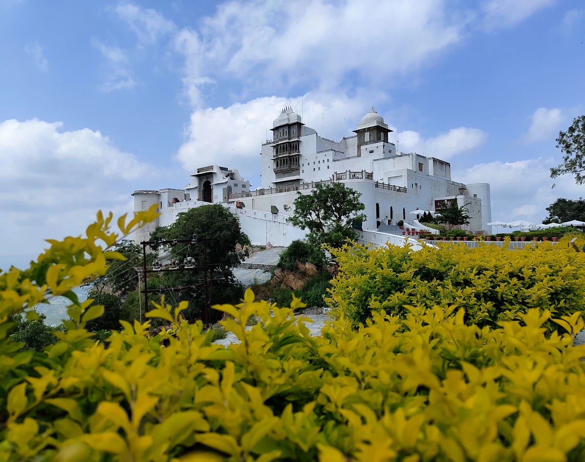 A white pavilion surrounded by yellow flowers