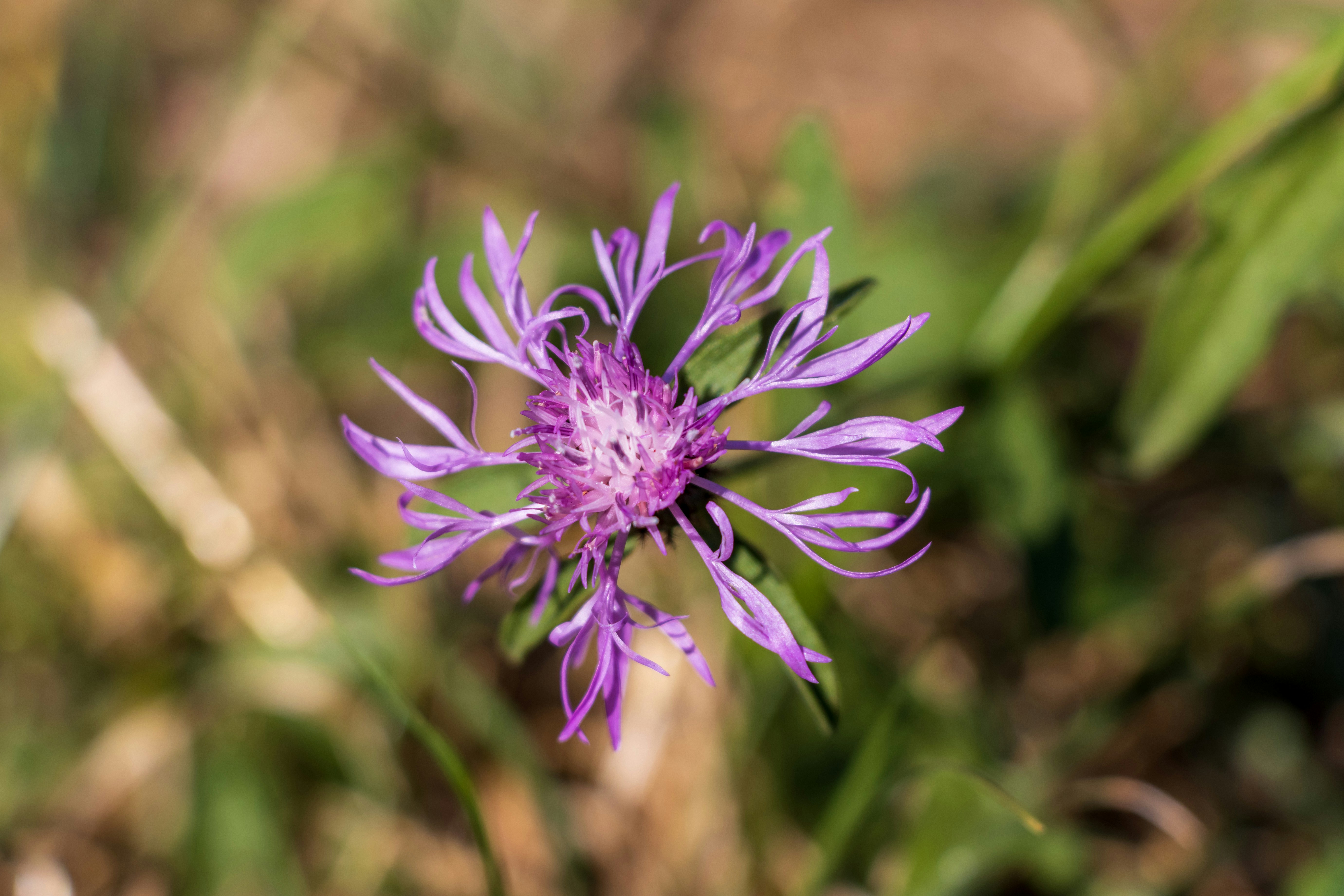 Photo by mechaowlstudios