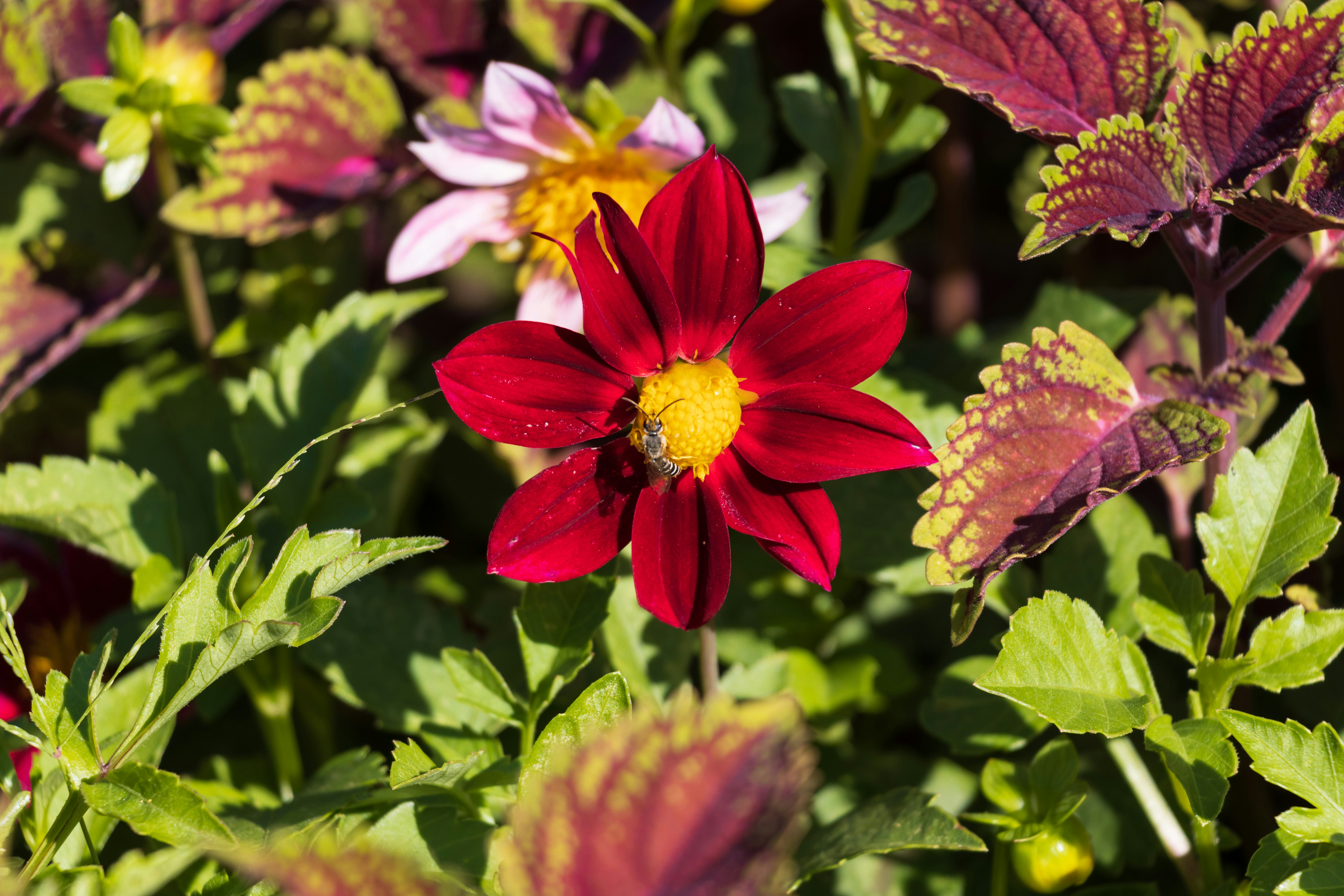 Photo by mechaowlstudios