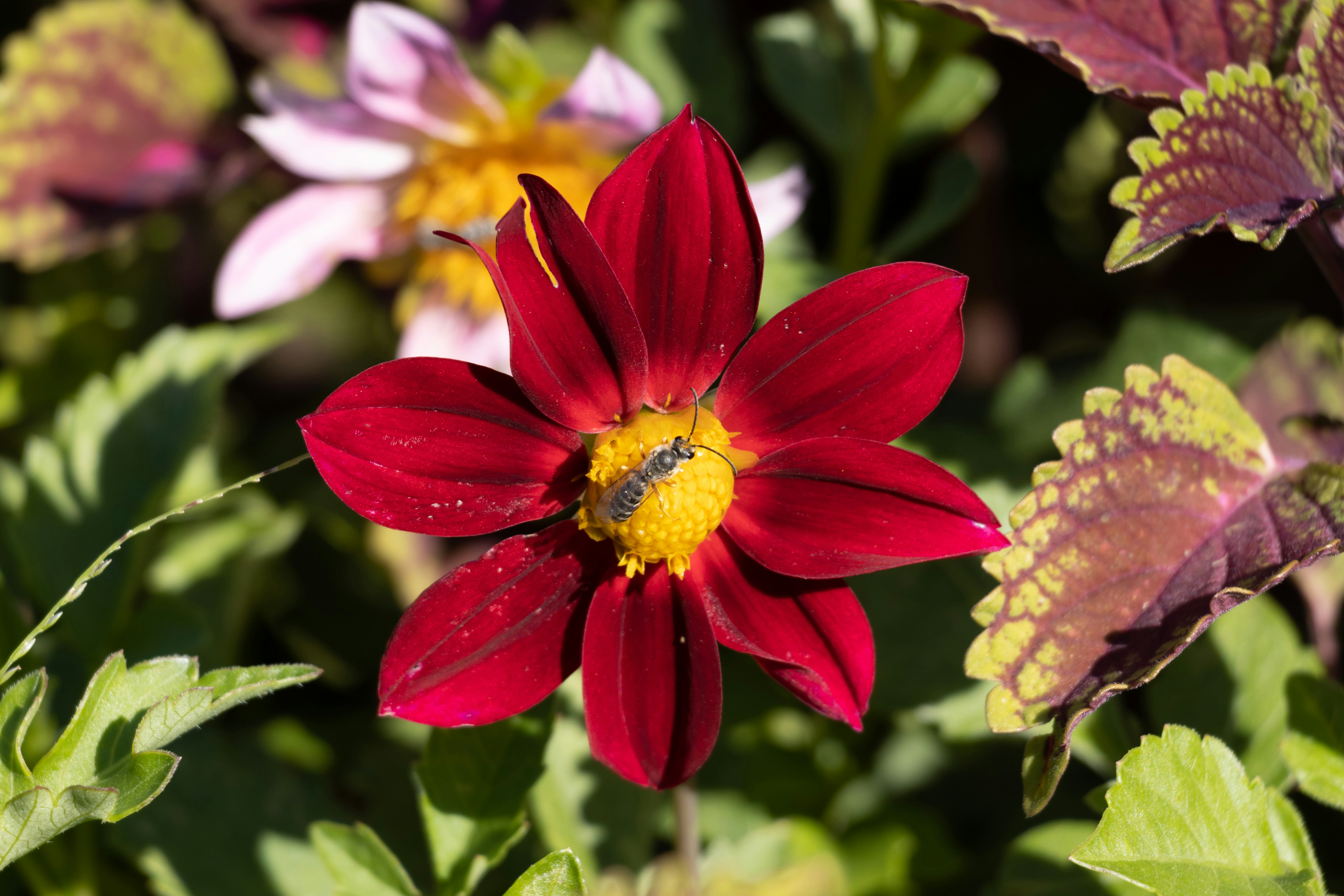 Photo by mechaowlstudios