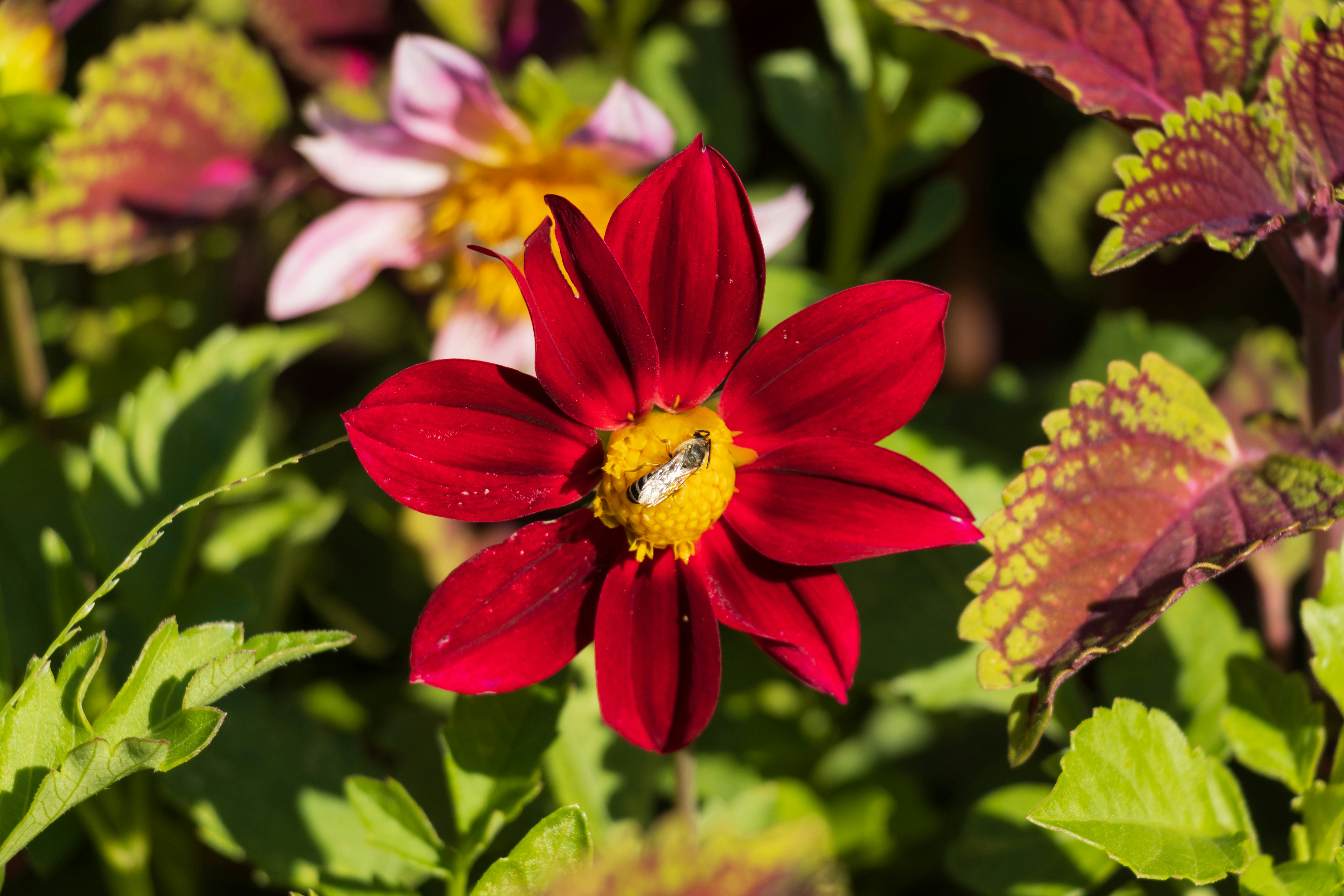 Photo by mechaowlstudios