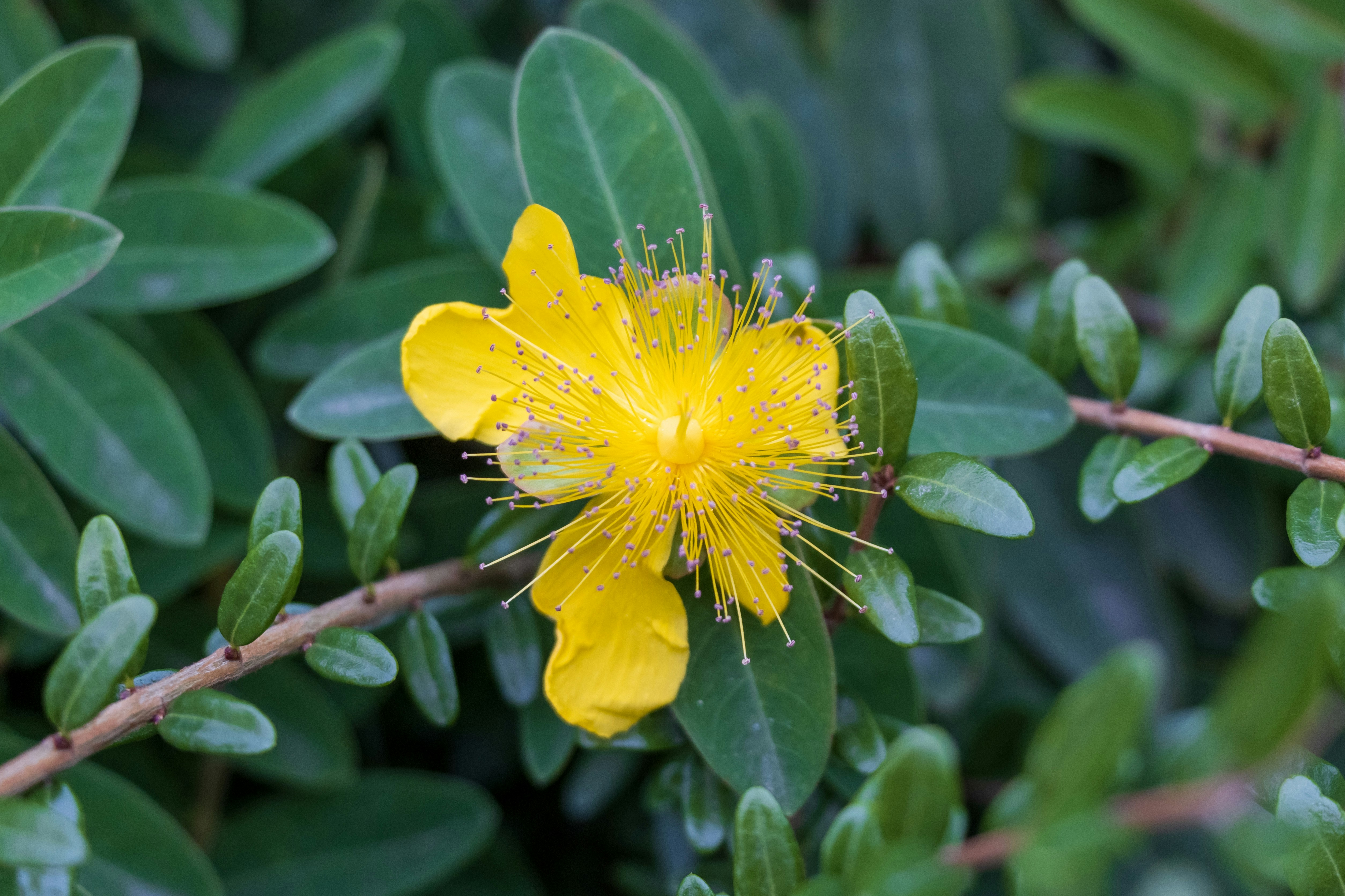 Photo by mechaowlstudios