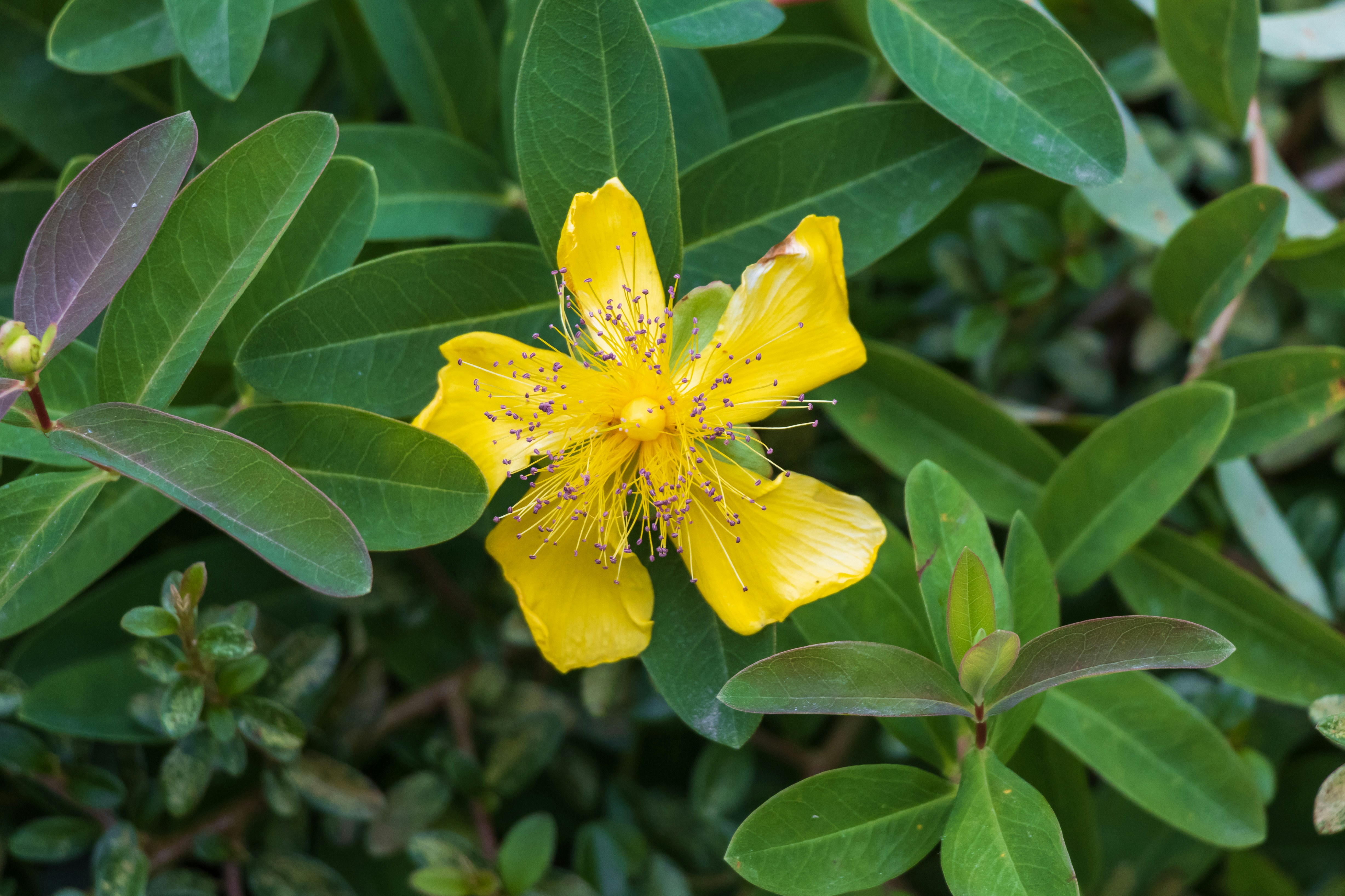 Photo by mechaowlstudios