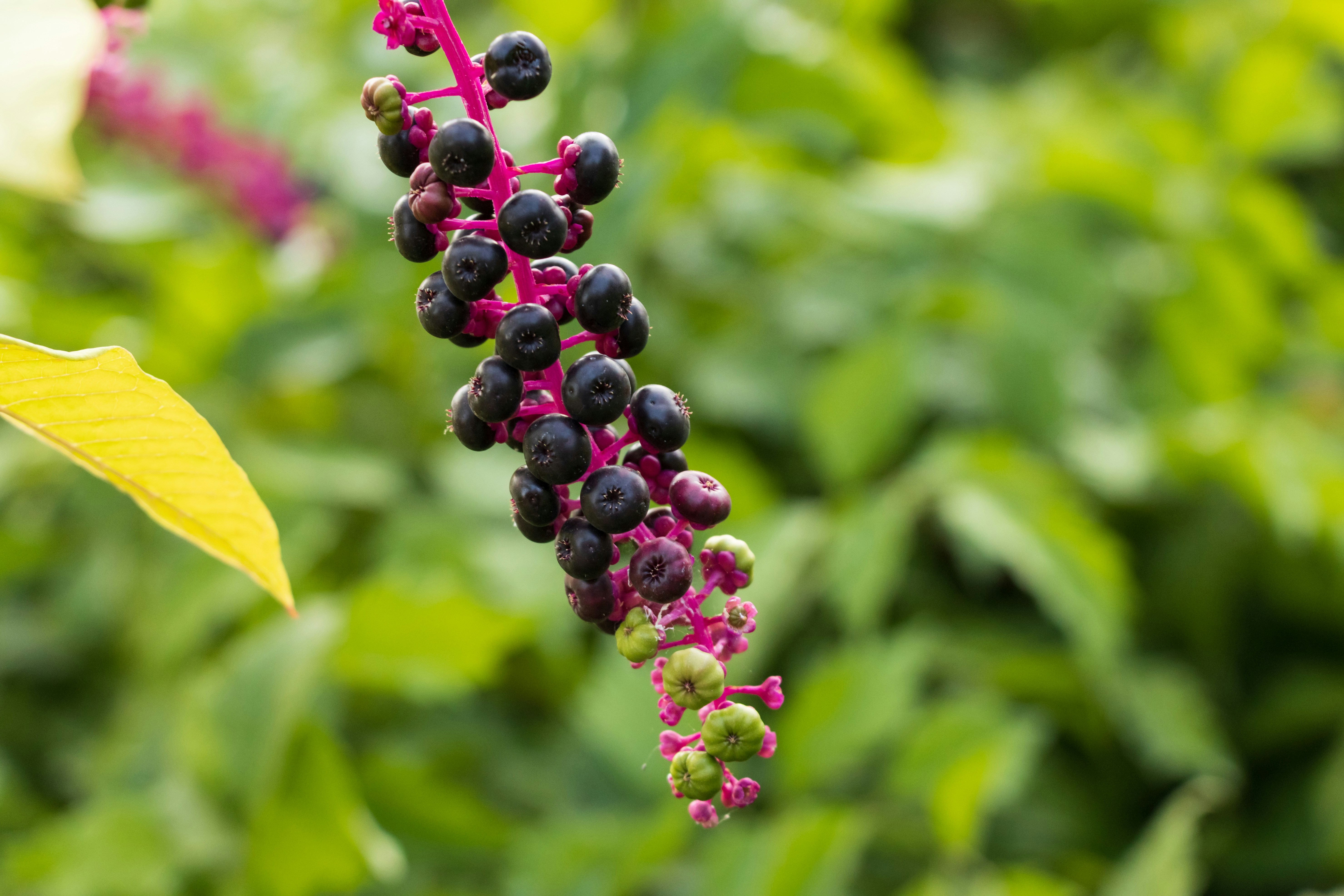 Photo by mechaowlstudios