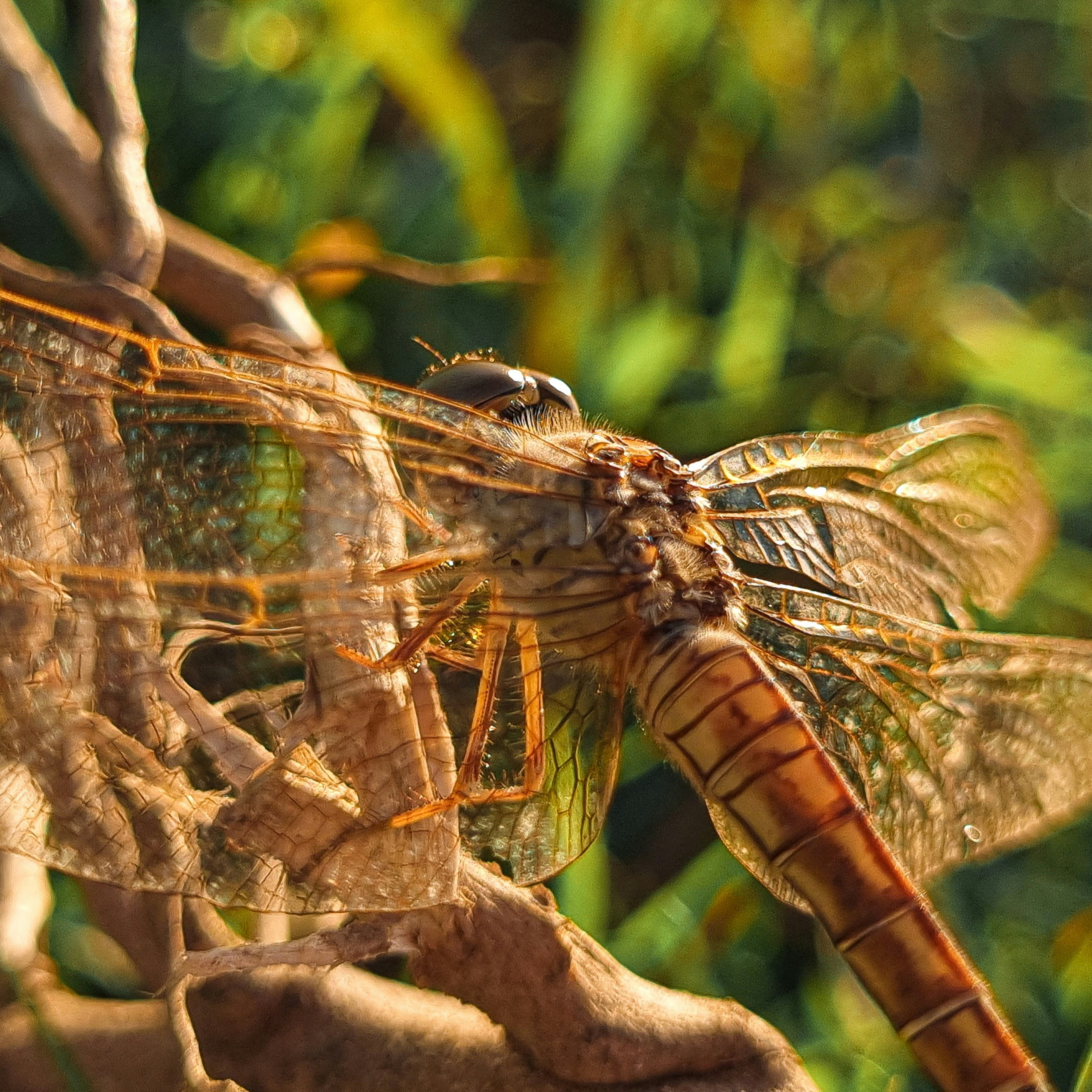 Photo by ankitbunsplash