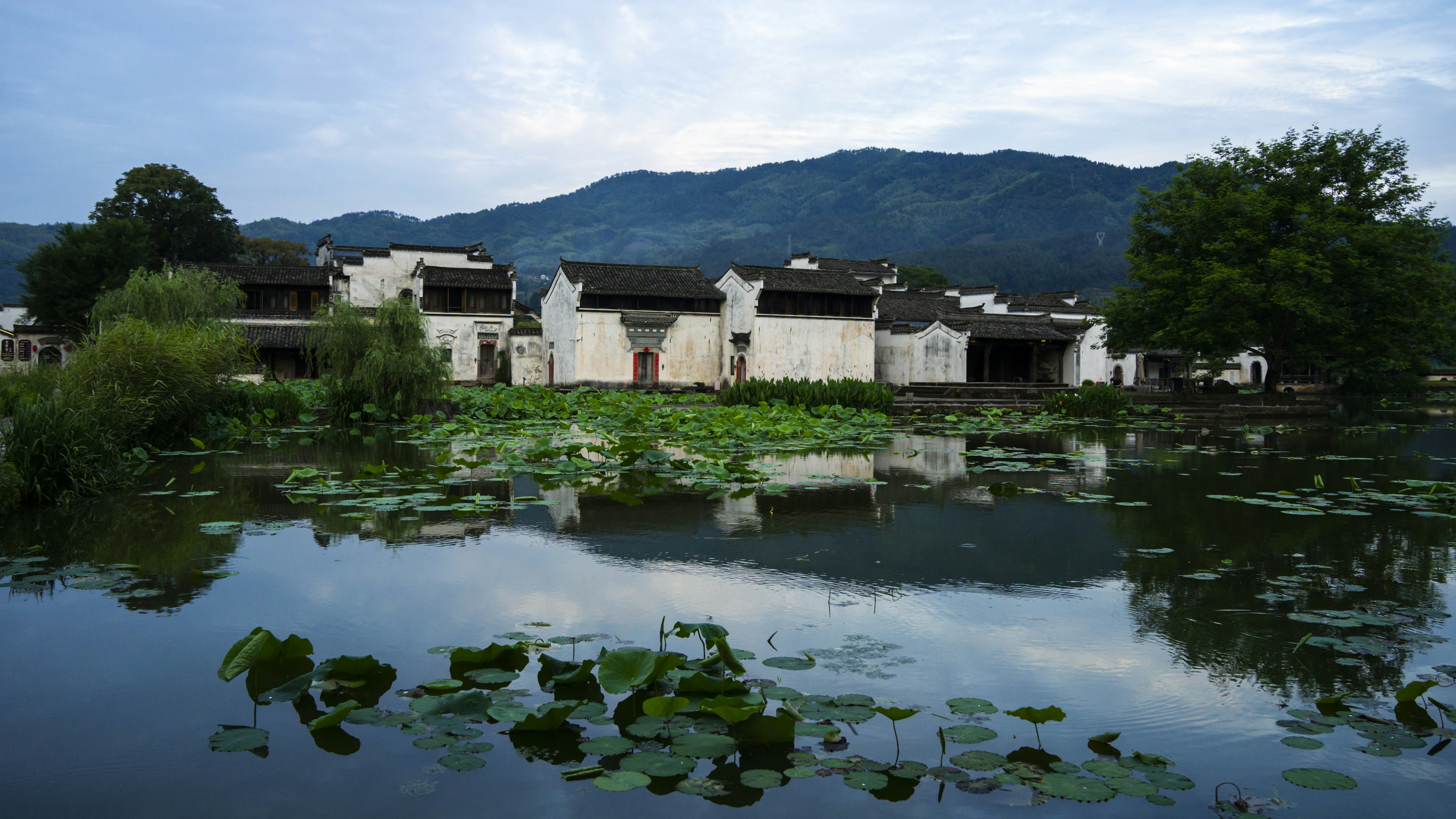 Photo by jeffreyzhang_920