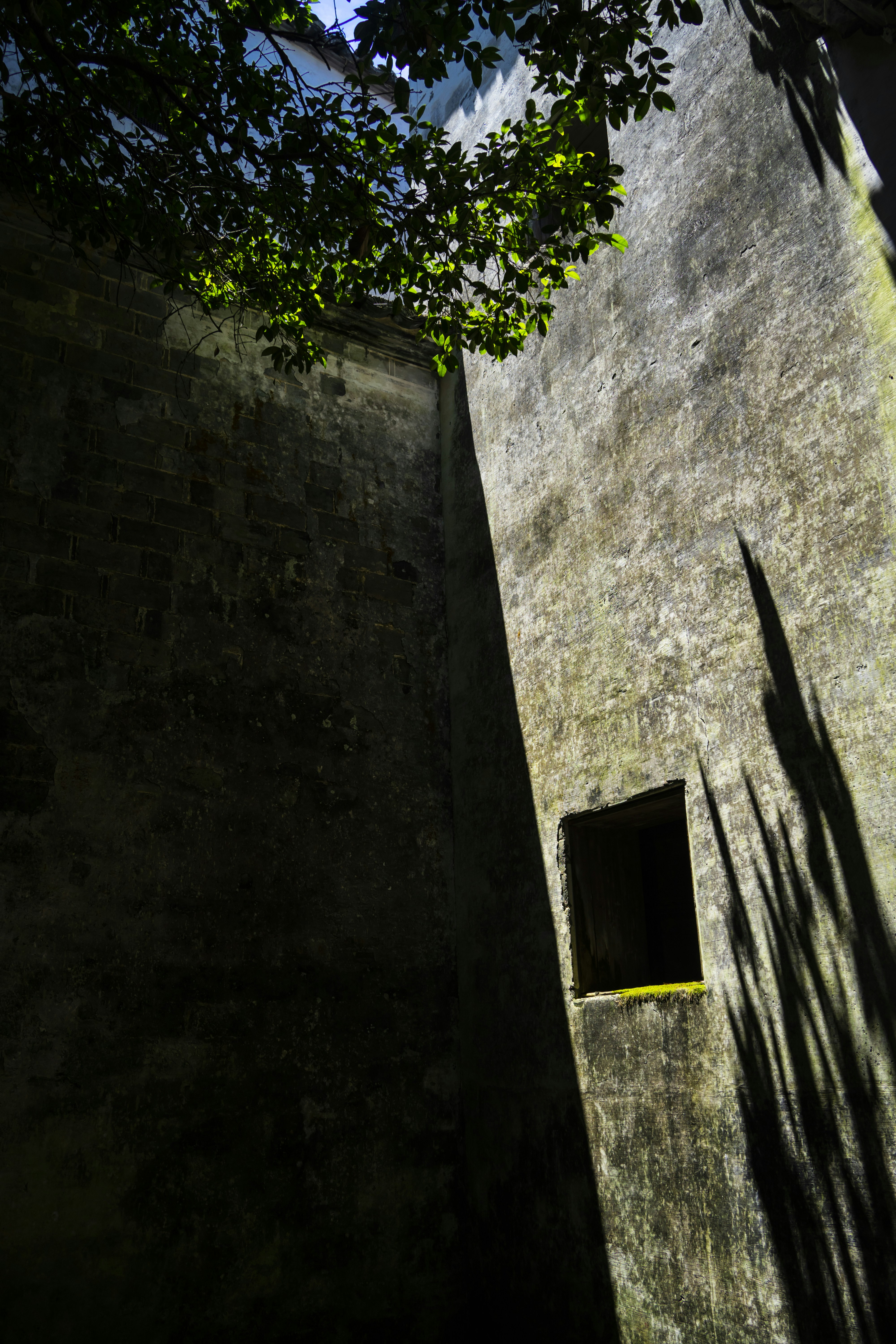 Photo by jeffreyzhang_920