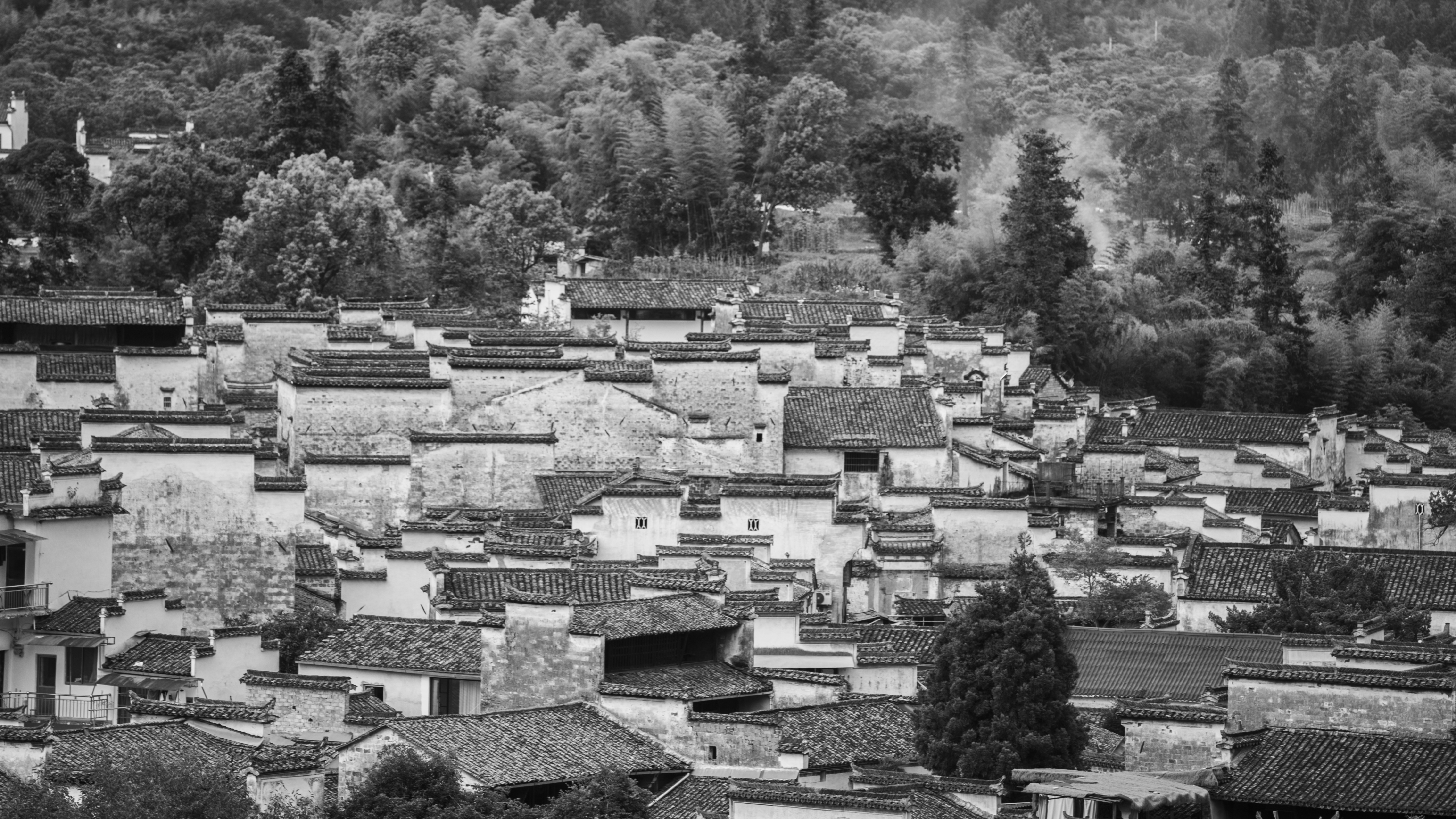 Photo by jeffreyzhang_920