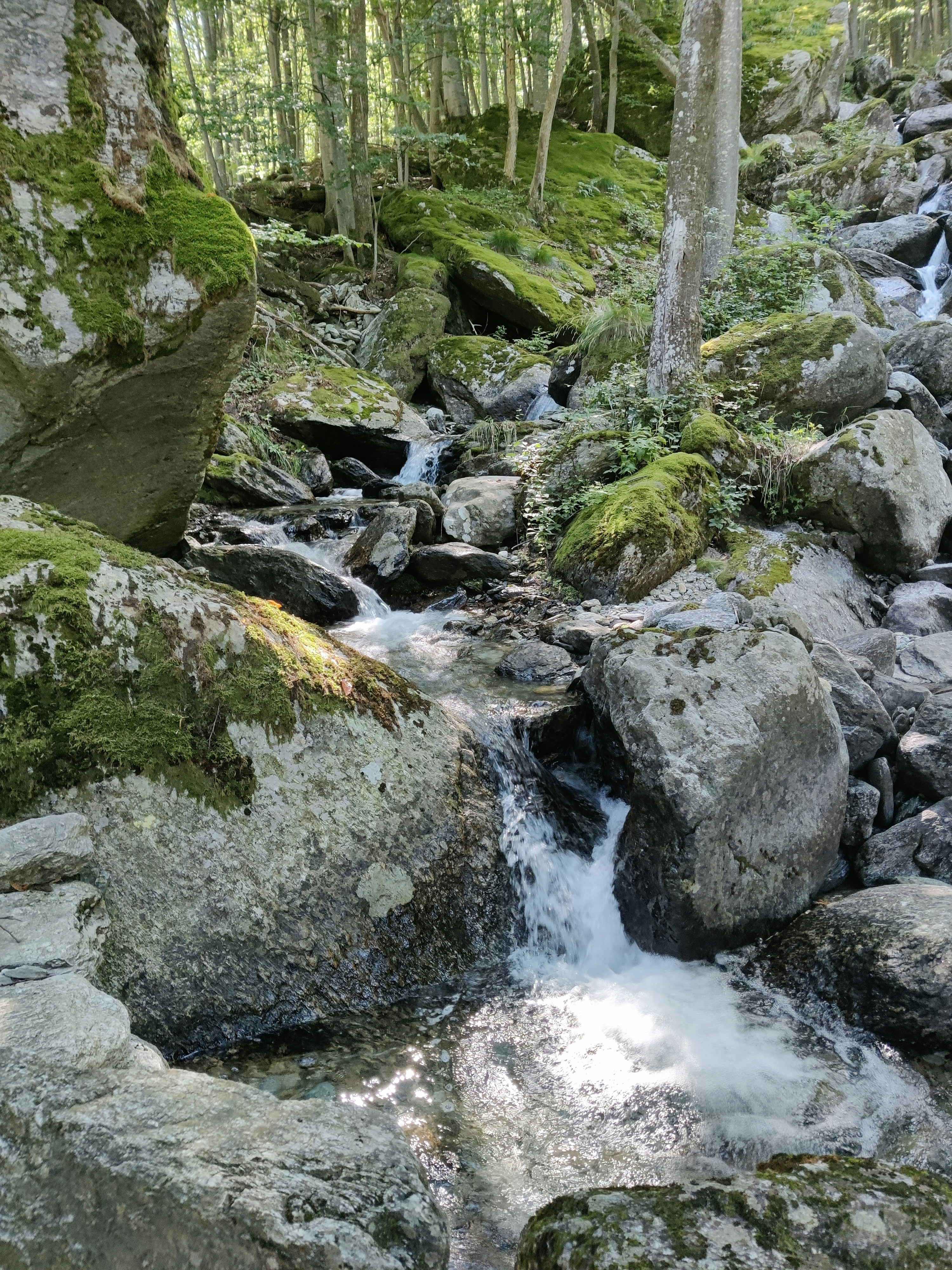 Photo by andrew_abela_